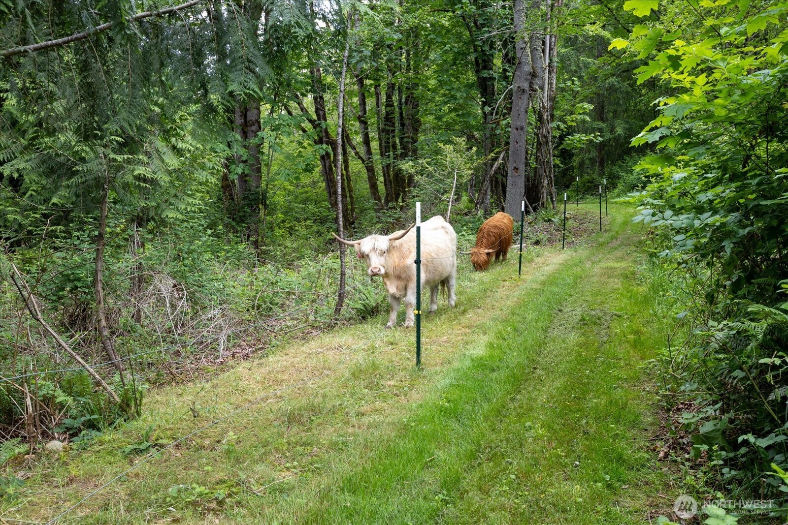 27346 Lake Cavanaugh Road Mount Vernon, WA 98274 - Photo 36 of 40