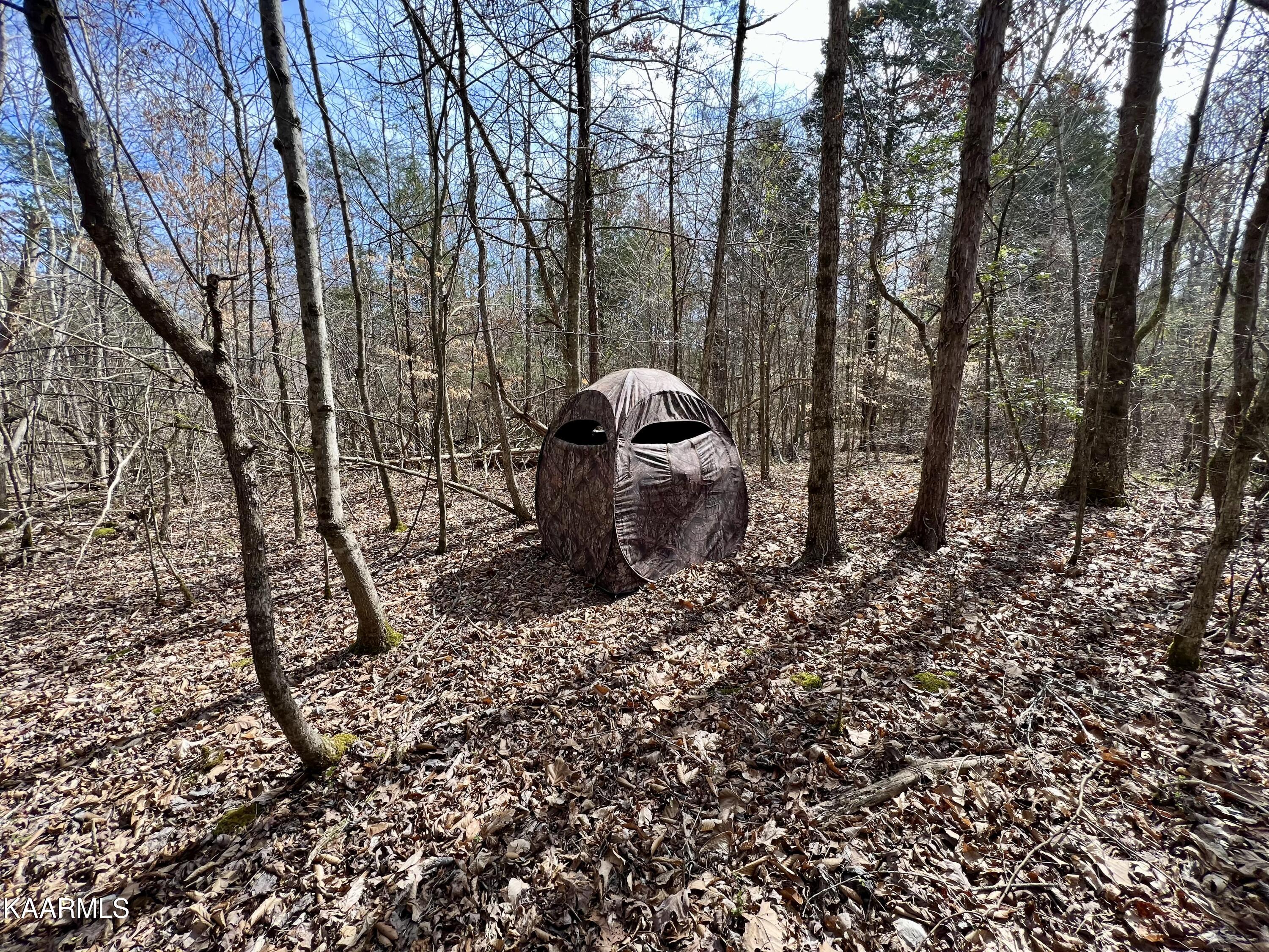 Ten Dry Fork Valley Road Philadelphia, TN 37846 - Photo 15 of 56 15