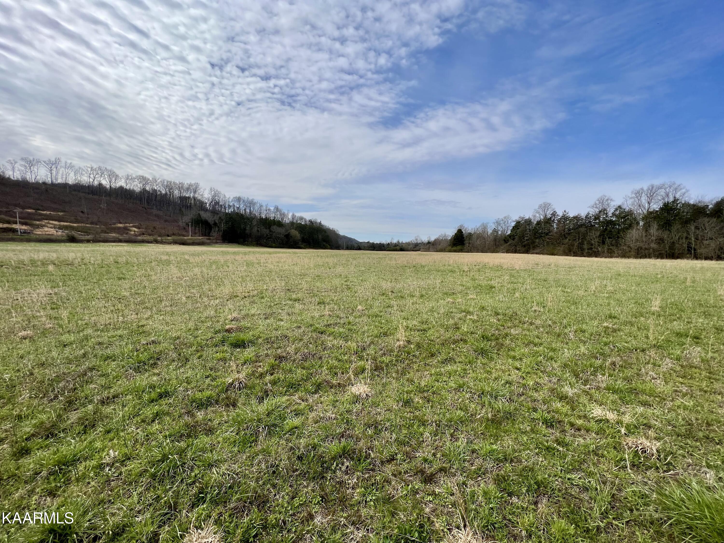 Ten Dry Fork Valley Road Philadelphia, TN 37846 - Photo 17 of 56 17