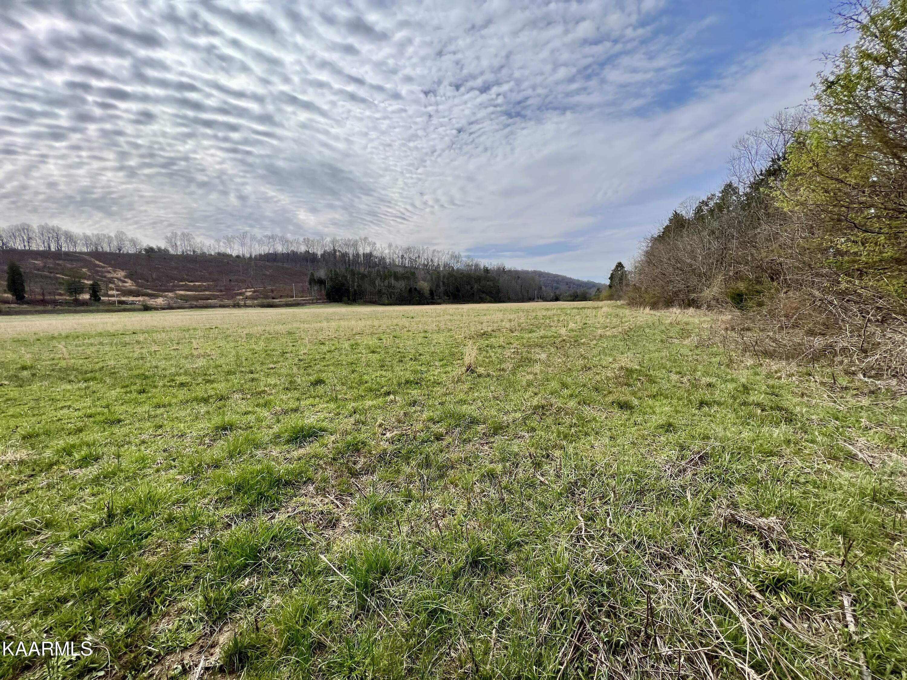 Ten Dry Fork Valley Road Philadelphia, TN 37846 - Photo 19 of 56 19