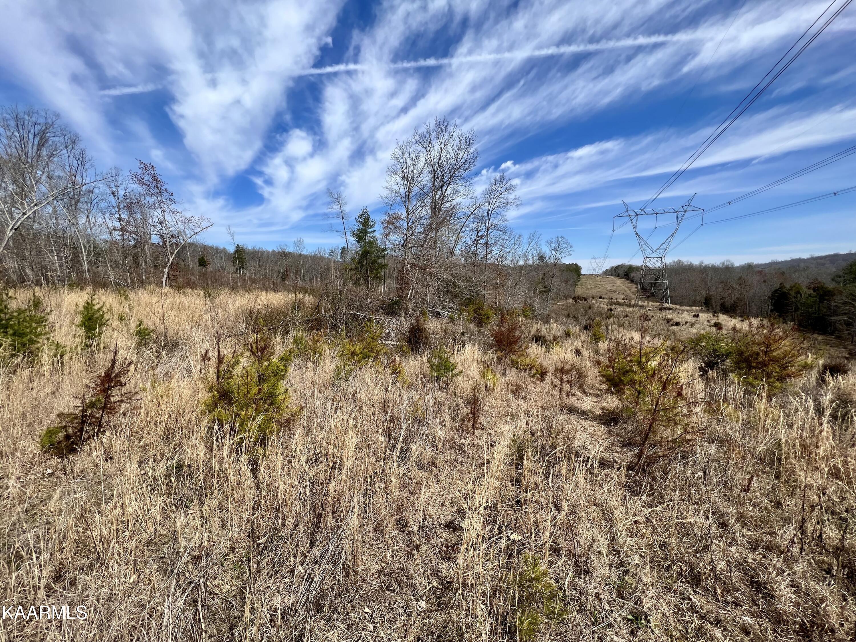Ten Dry Fork Valley Road Philadelphia, TN 37846 - Photo 22 of 56 22