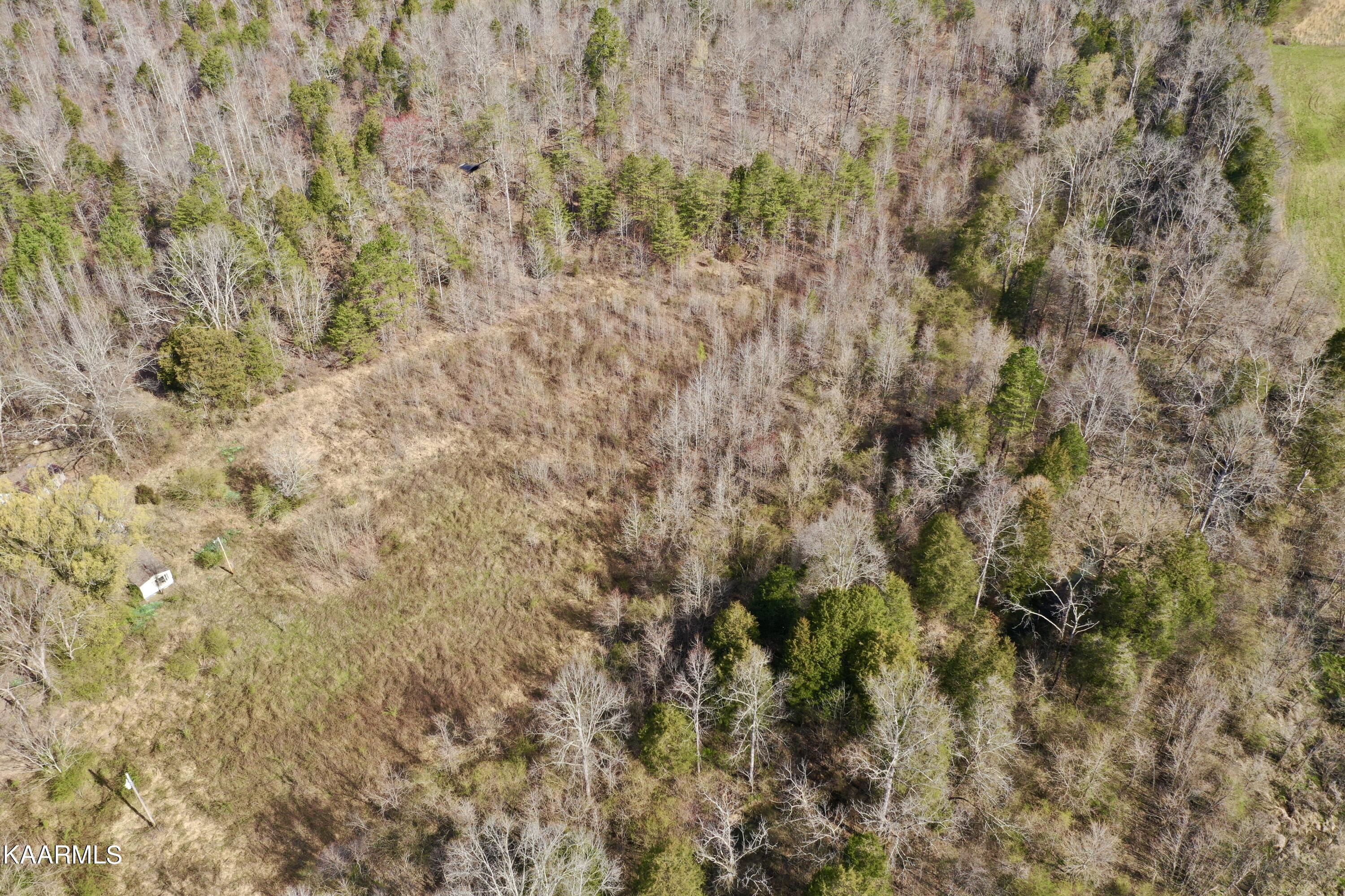 Ten Dry Fork Valley Road Philadelphia, TN 37846 - Photo 24 of 56 DJI_0515