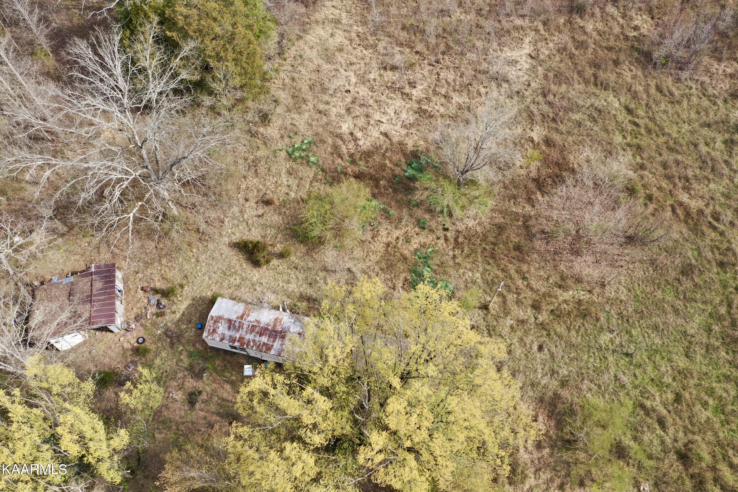 Ten Dry Fork Valley Road Philadelphia, TN 37846 - Photo 29 of 56 DJI_0521