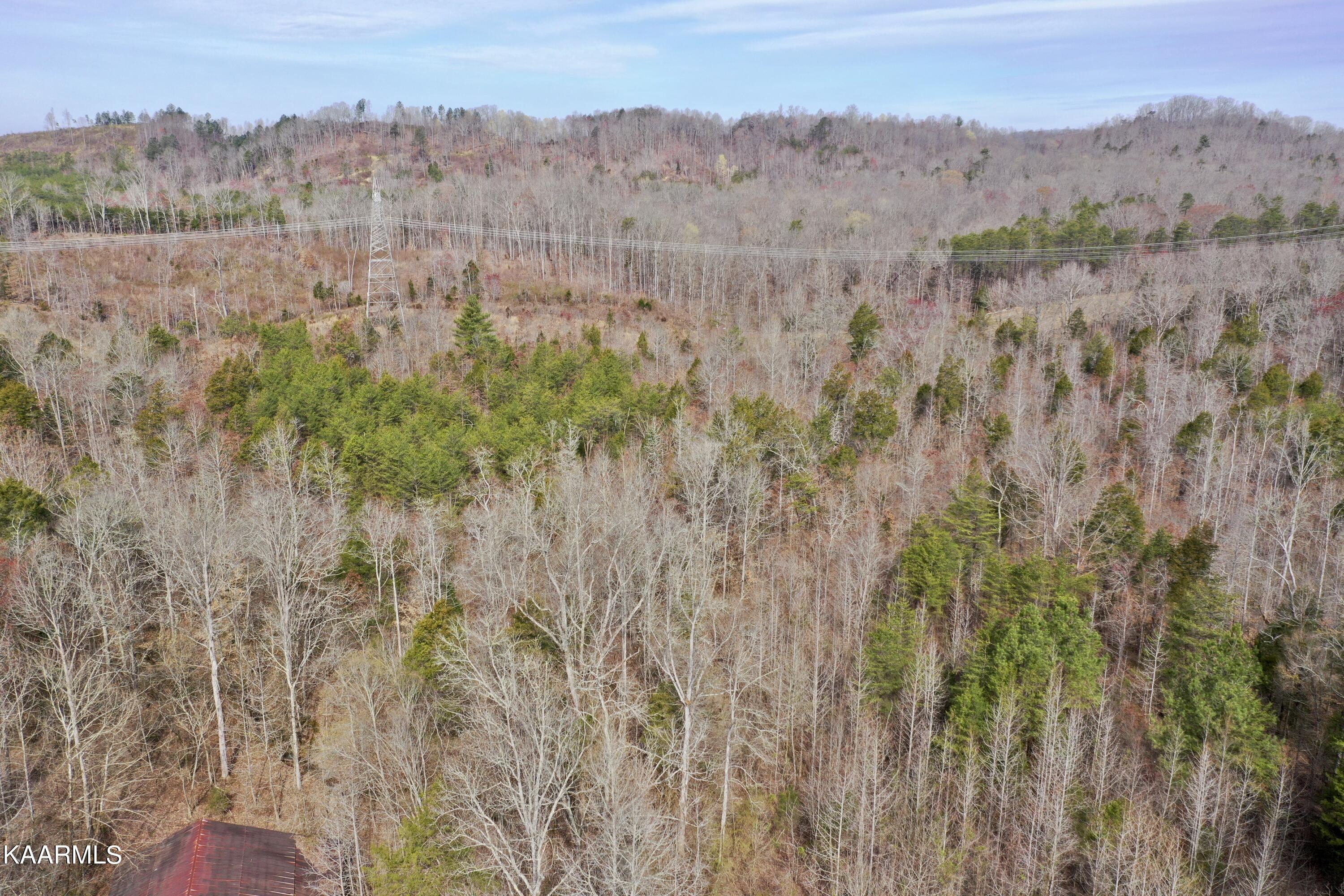 Ten Dry Fork Valley Road Philadelphia, TN 37846 - Photo 30 of 56 DJI_0522