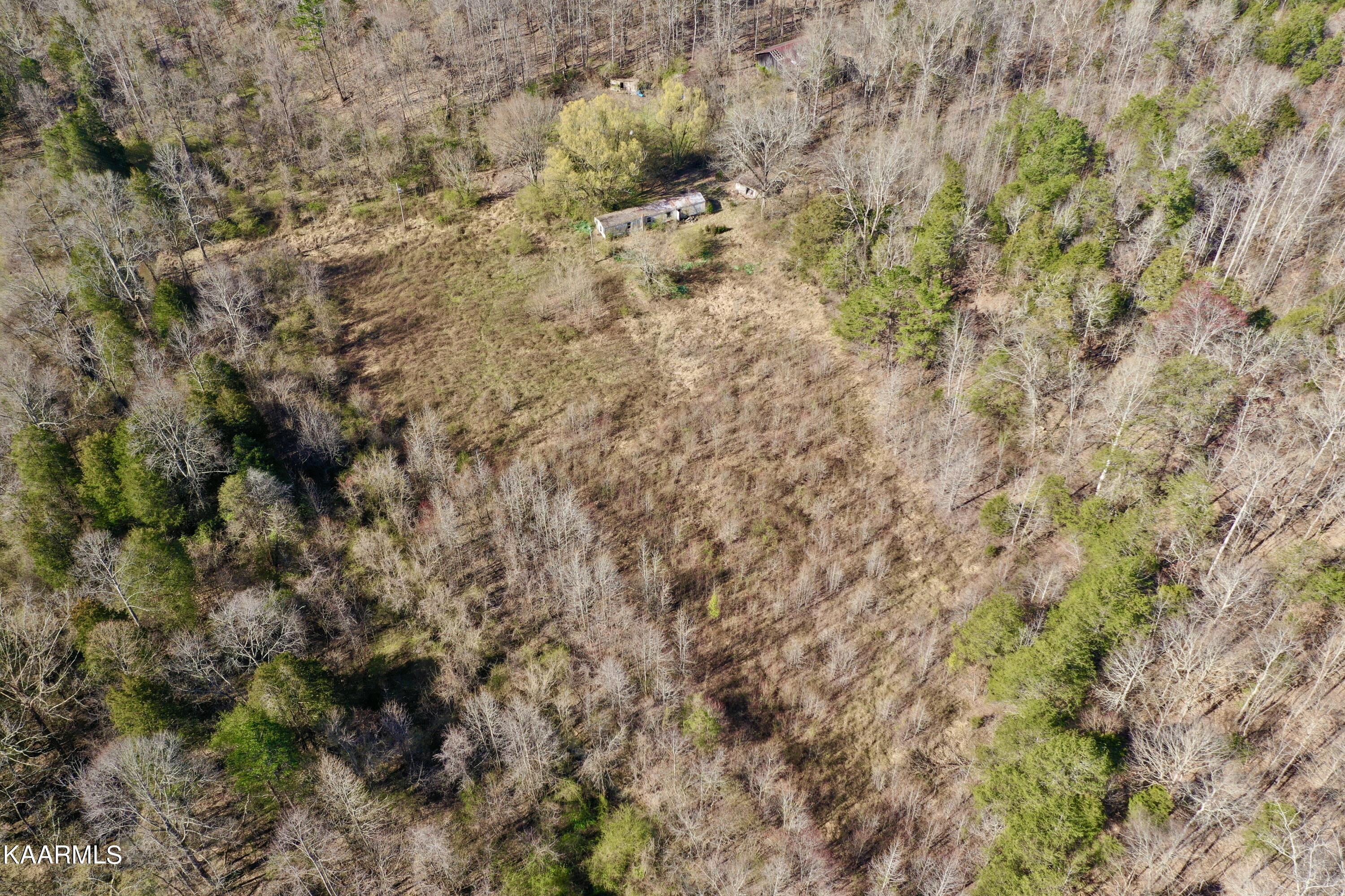 Ten Dry Fork Valley Road Philadelphia, TN 37846 - Photo 3 of 56 3