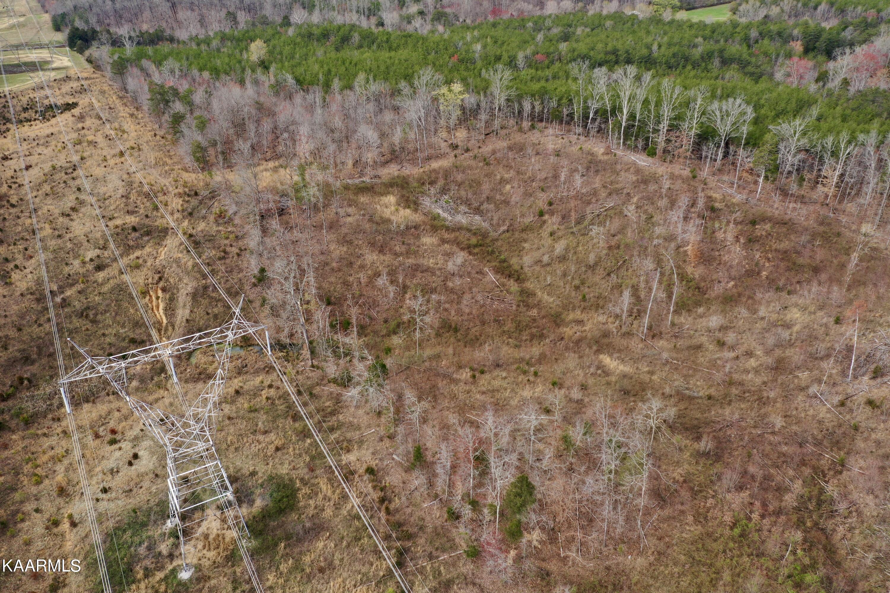 Ten Dry Fork Valley Road Philadelphia, TN 37846 - Photo 31 of 56 DJI_0525