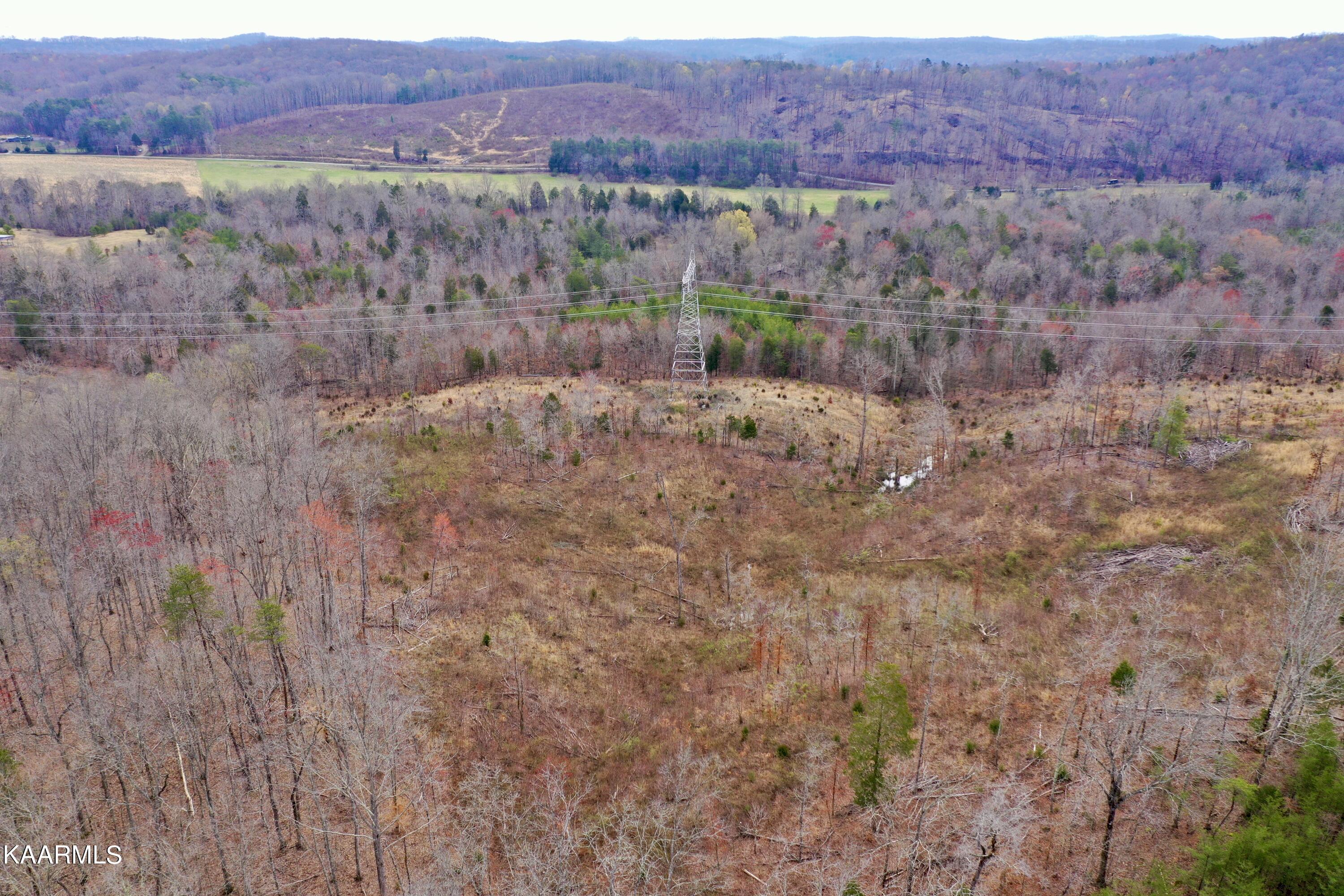 Ten Dry Fork Valley Road Philadelphia, TN 37846 - Photo 32 of 56 DJI_0527