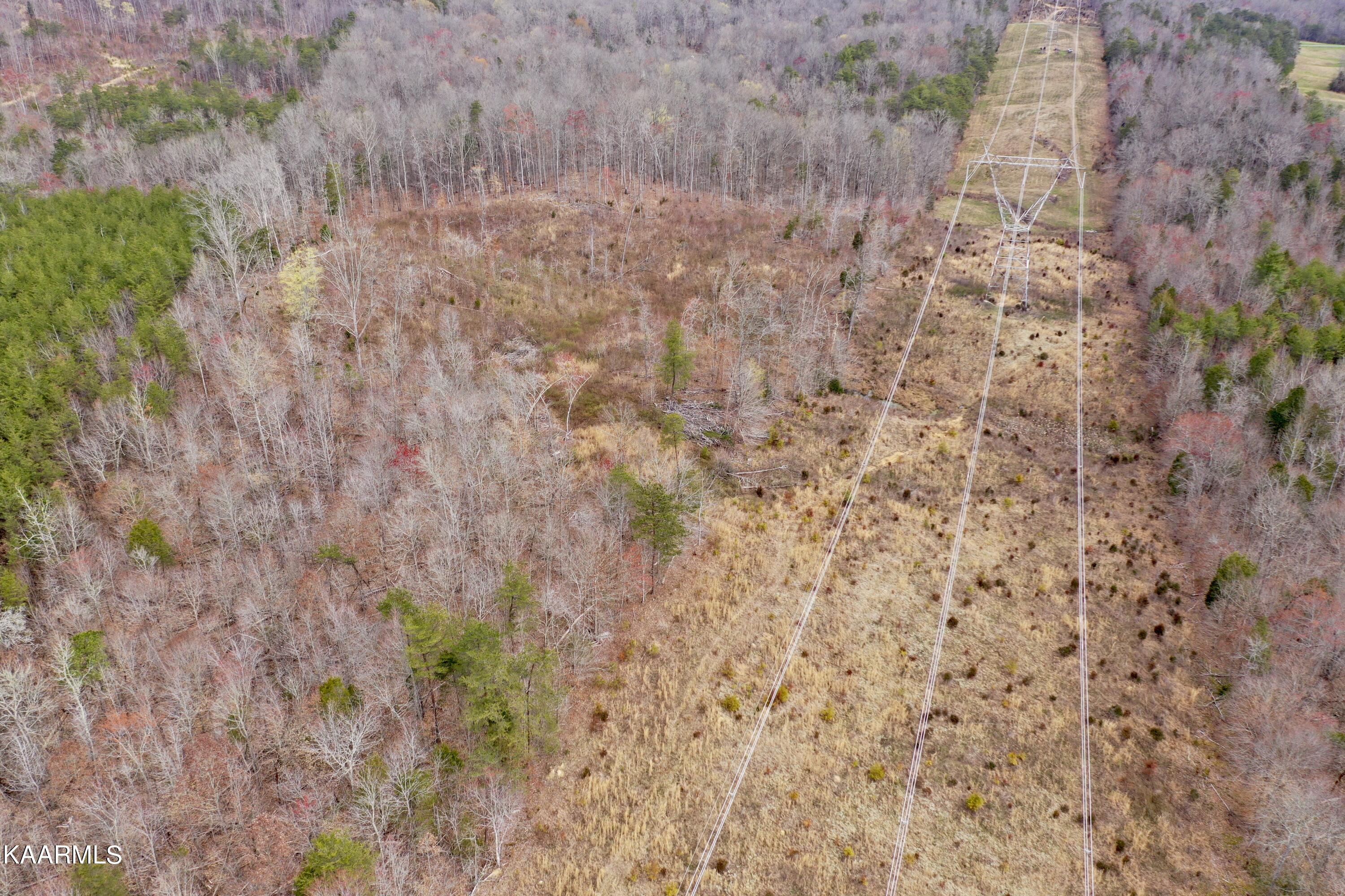 Ten Dry Fork Valley Road Philadelphia, TN 37846 - Photo 33 of 56 DJI_0529