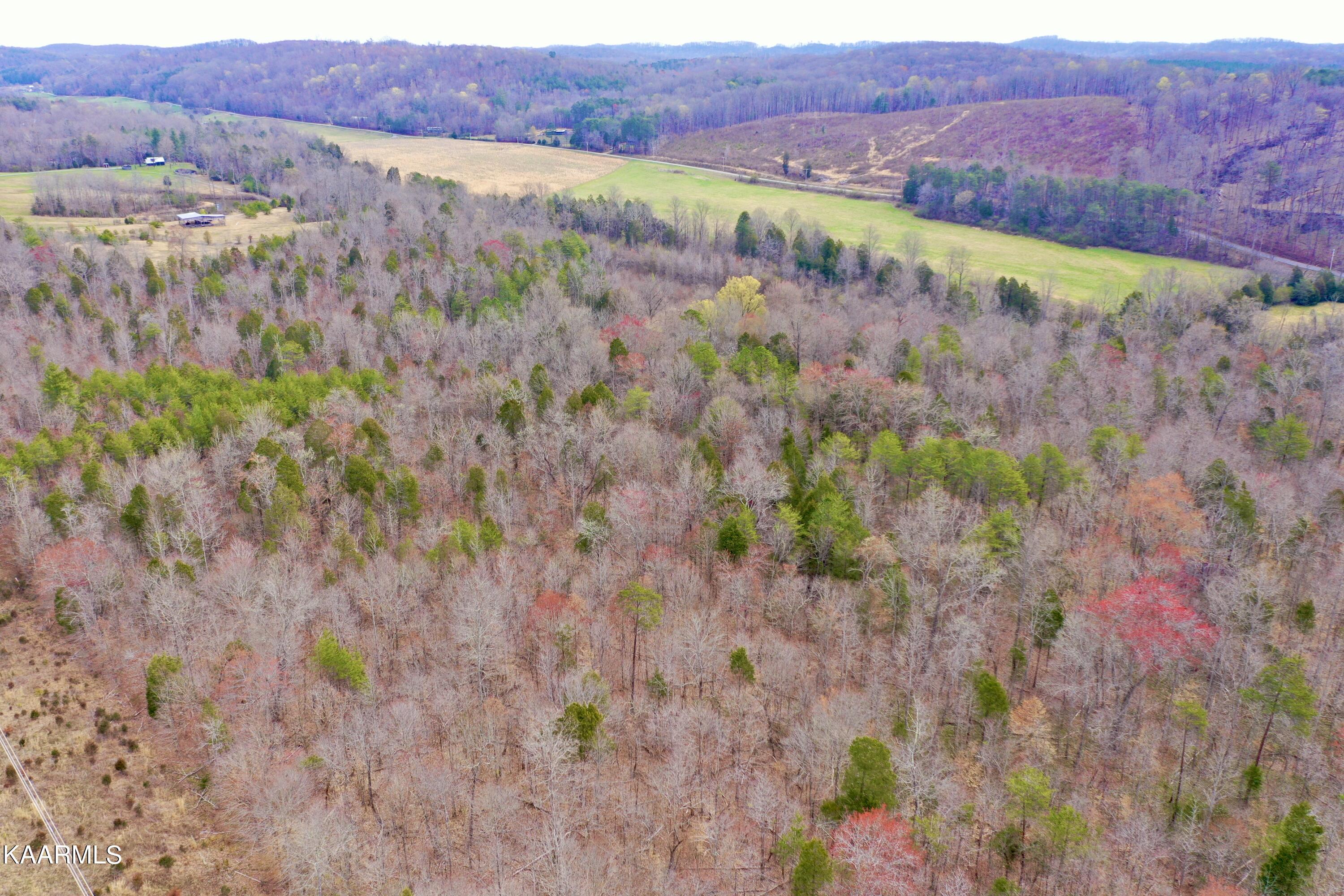 Ten Dry Fork Valley Road Philadelphia, TN 37846 - Photo 34 of 56 DJI_0530