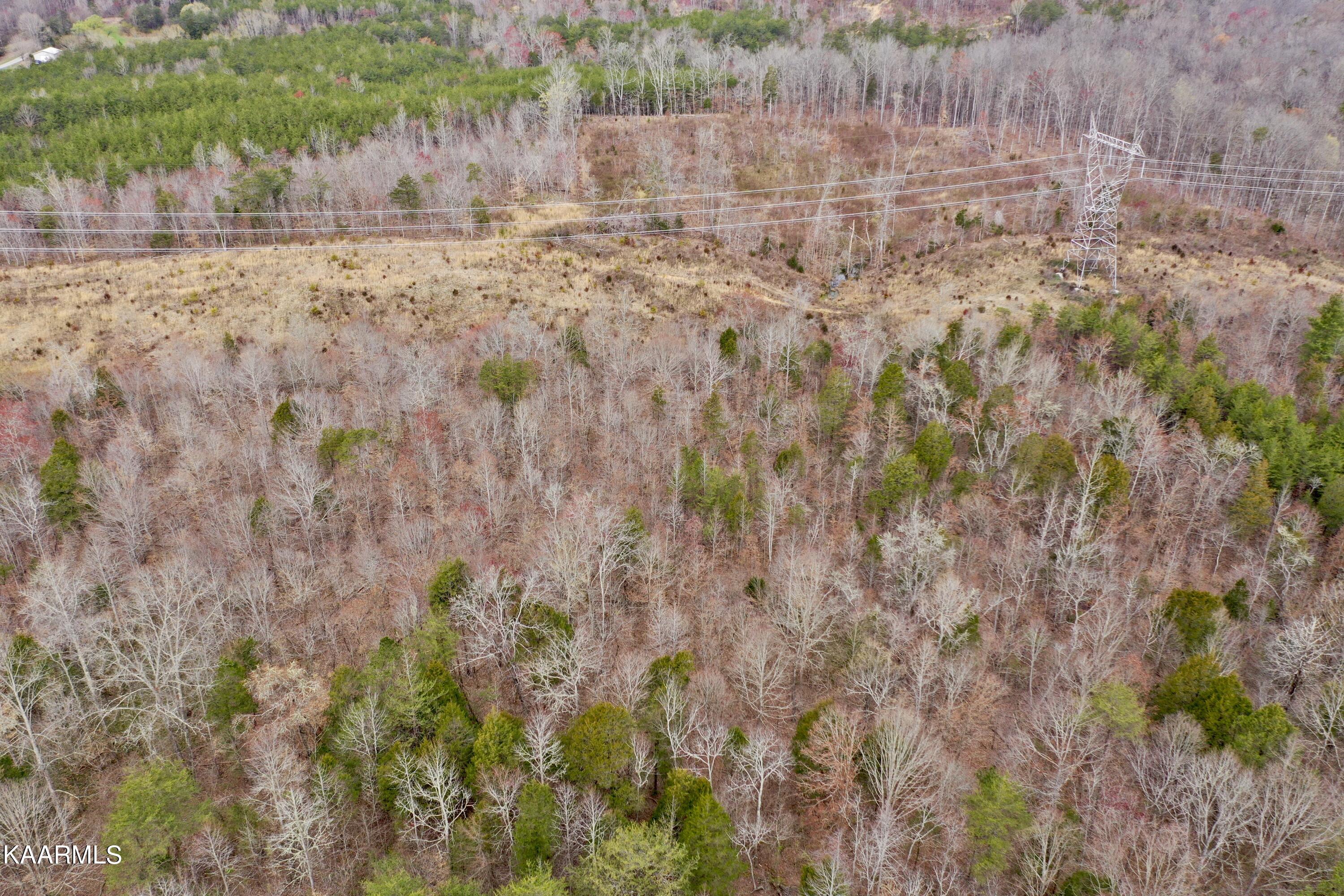 Ten Dry Fork Valley Road Philadelphia, TN 37846 - Photo 35 of 56 DJI_0534
