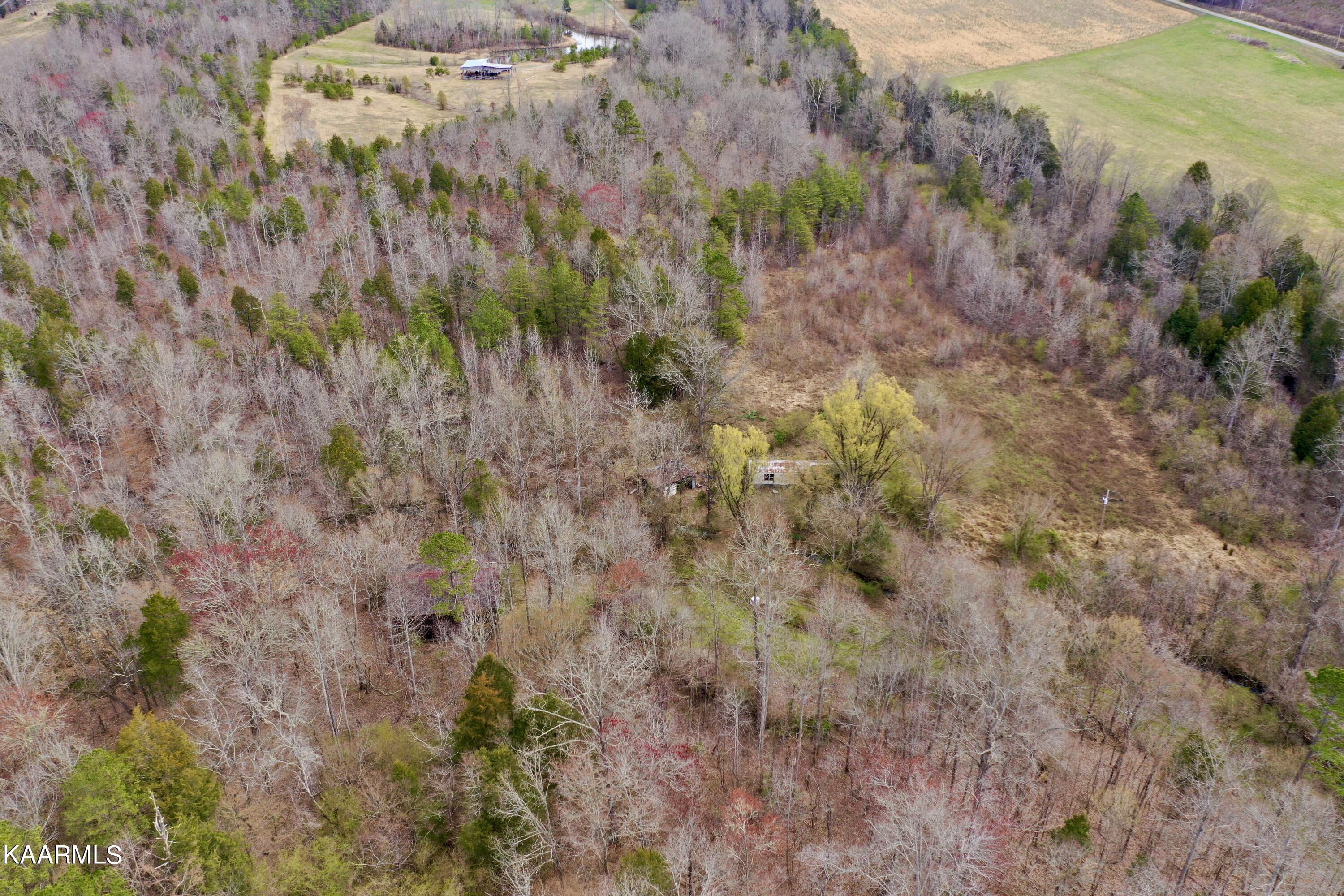 Ten Dry Fork Valley Road Philadelphia, TN 37846 - Photo 37 of 56 DJI_0536