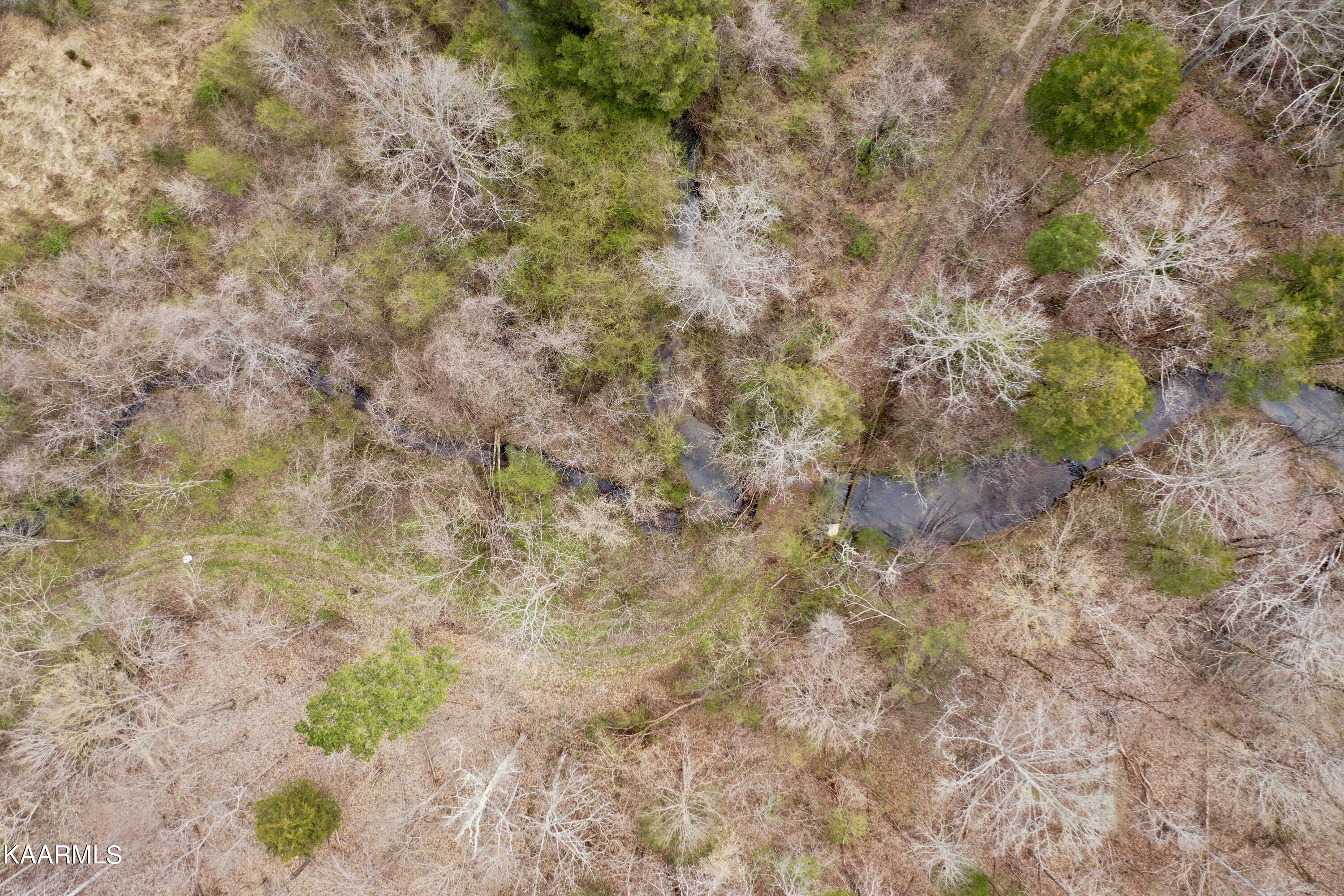 Ten Dry Fork Valley Road Philadelphia, TN 37846 - Photo 38 of 56 DJI_0537