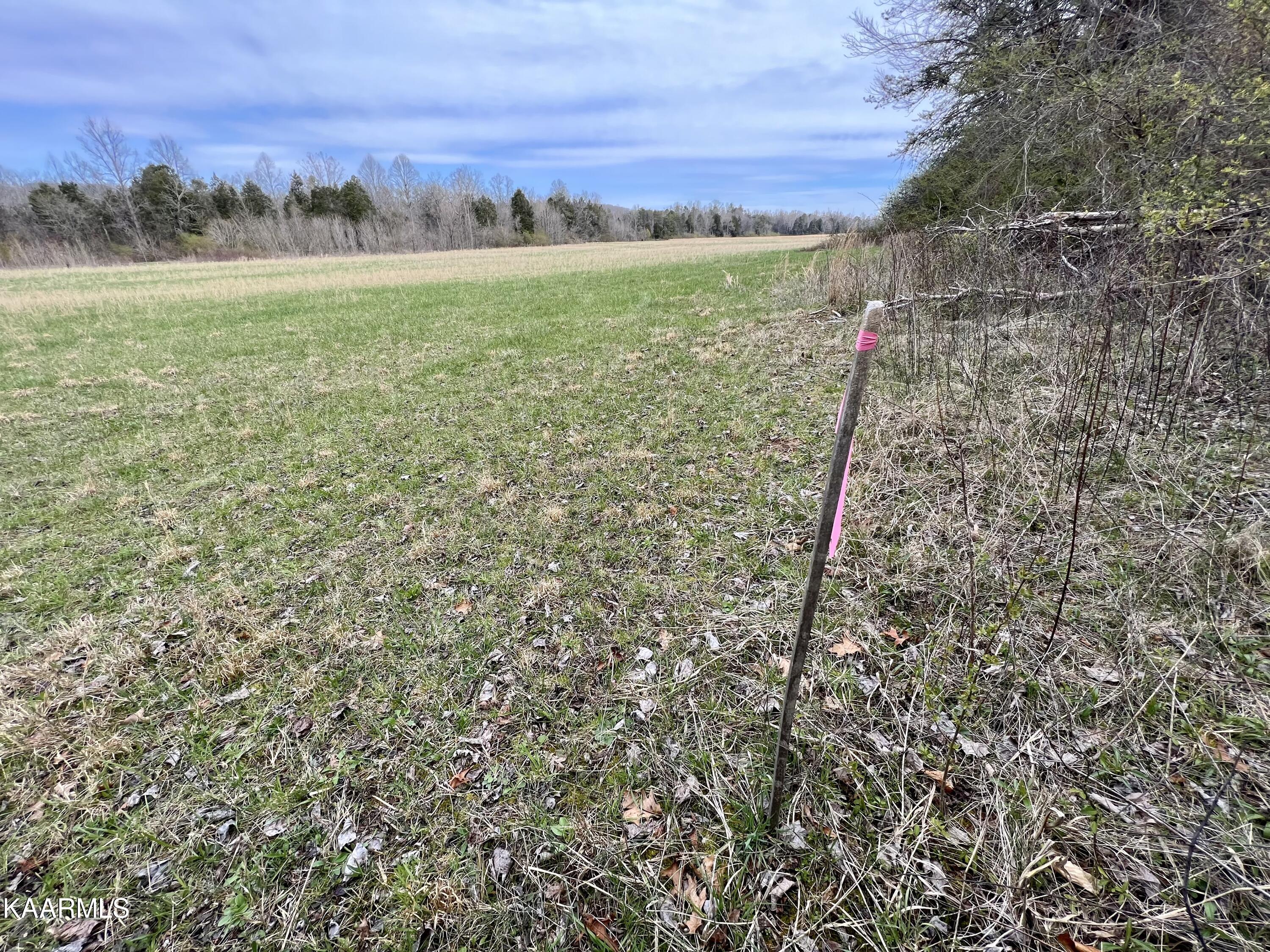 Ten Dry Fork Valley Road Philadelphia, TN 37846 - Photo 41 of 56 IMG_5499