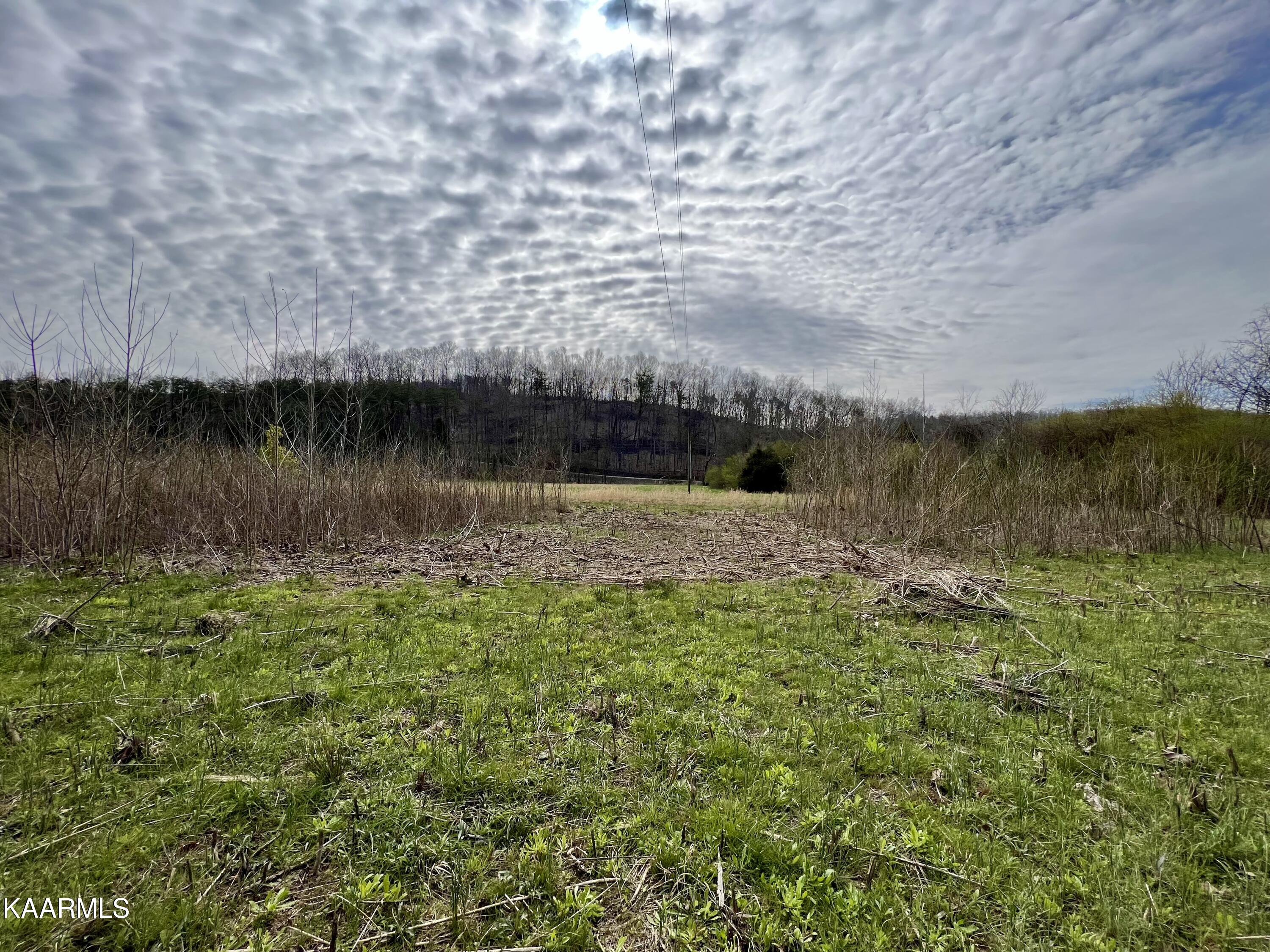 Ten Dry Fork Valley Road Philadelphia, TN 37846 - Photo 42 of 56 IMG_5507