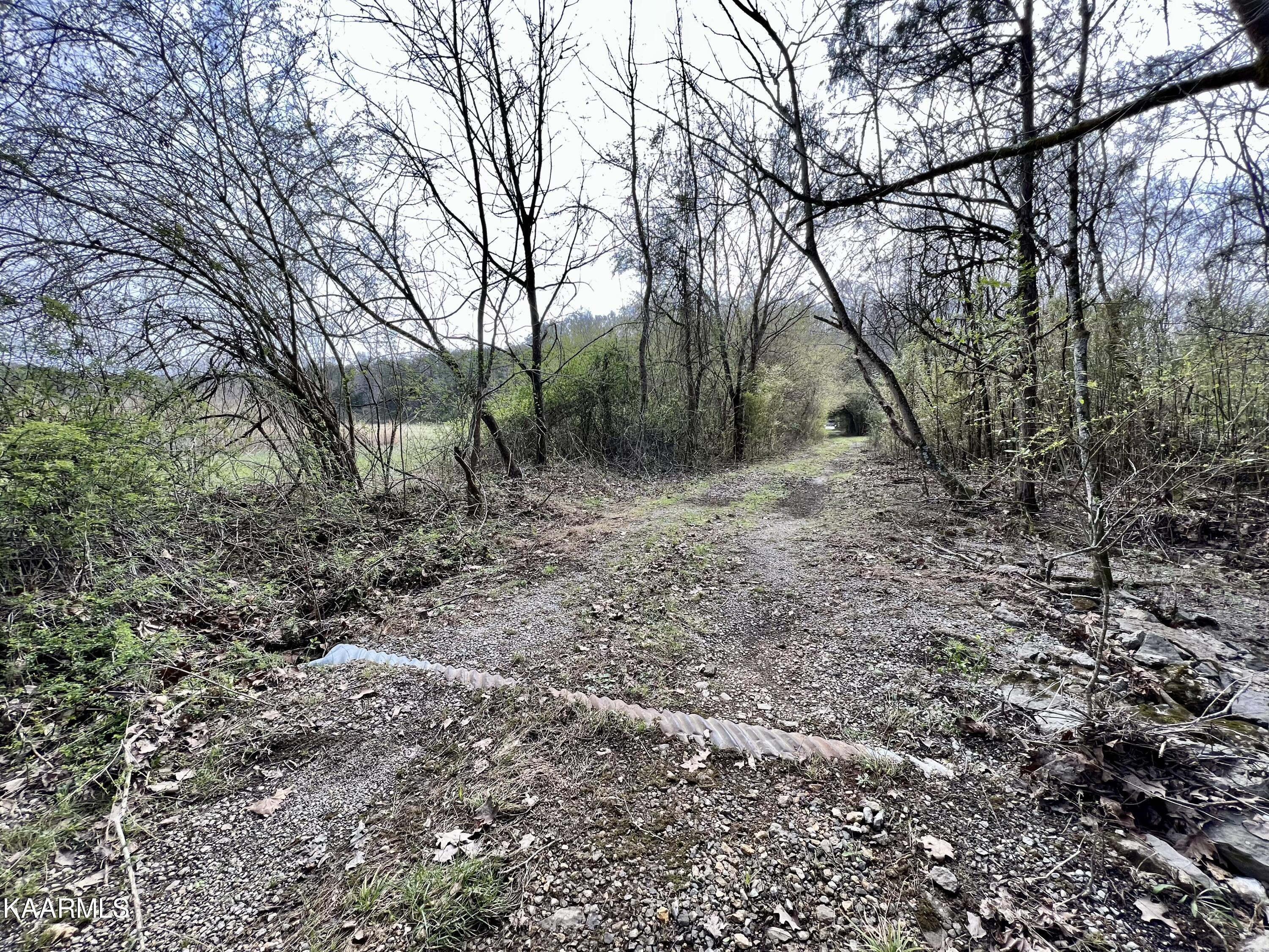 Ten Dry Fork Valley Road Philadelphia, TN 37846 - Photo 43 of 56 IMG_5508