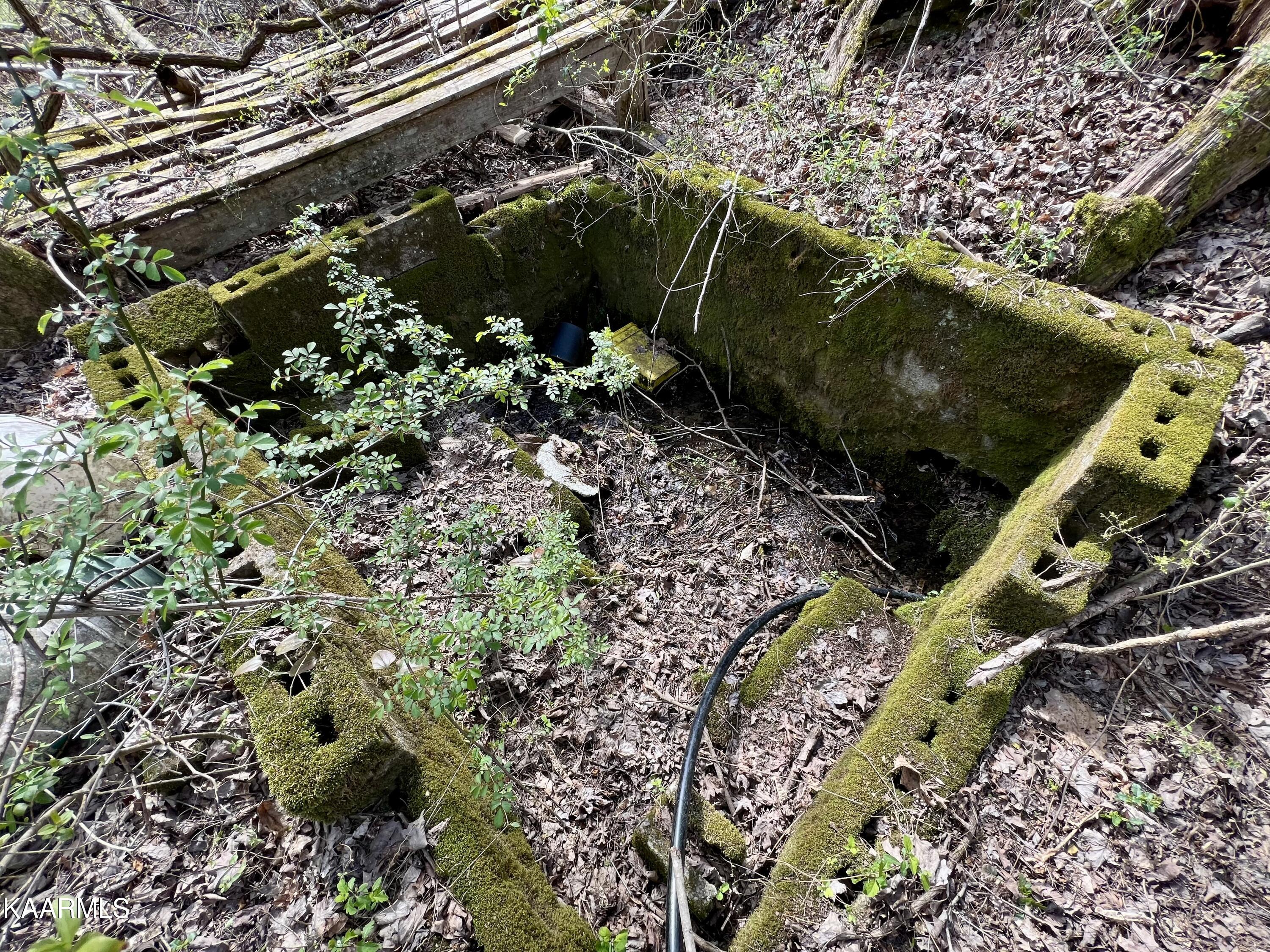 Ten Dry Fork Valley Road Philadelphia, TN 37846 - Photo 44 of 56 IMG_5512