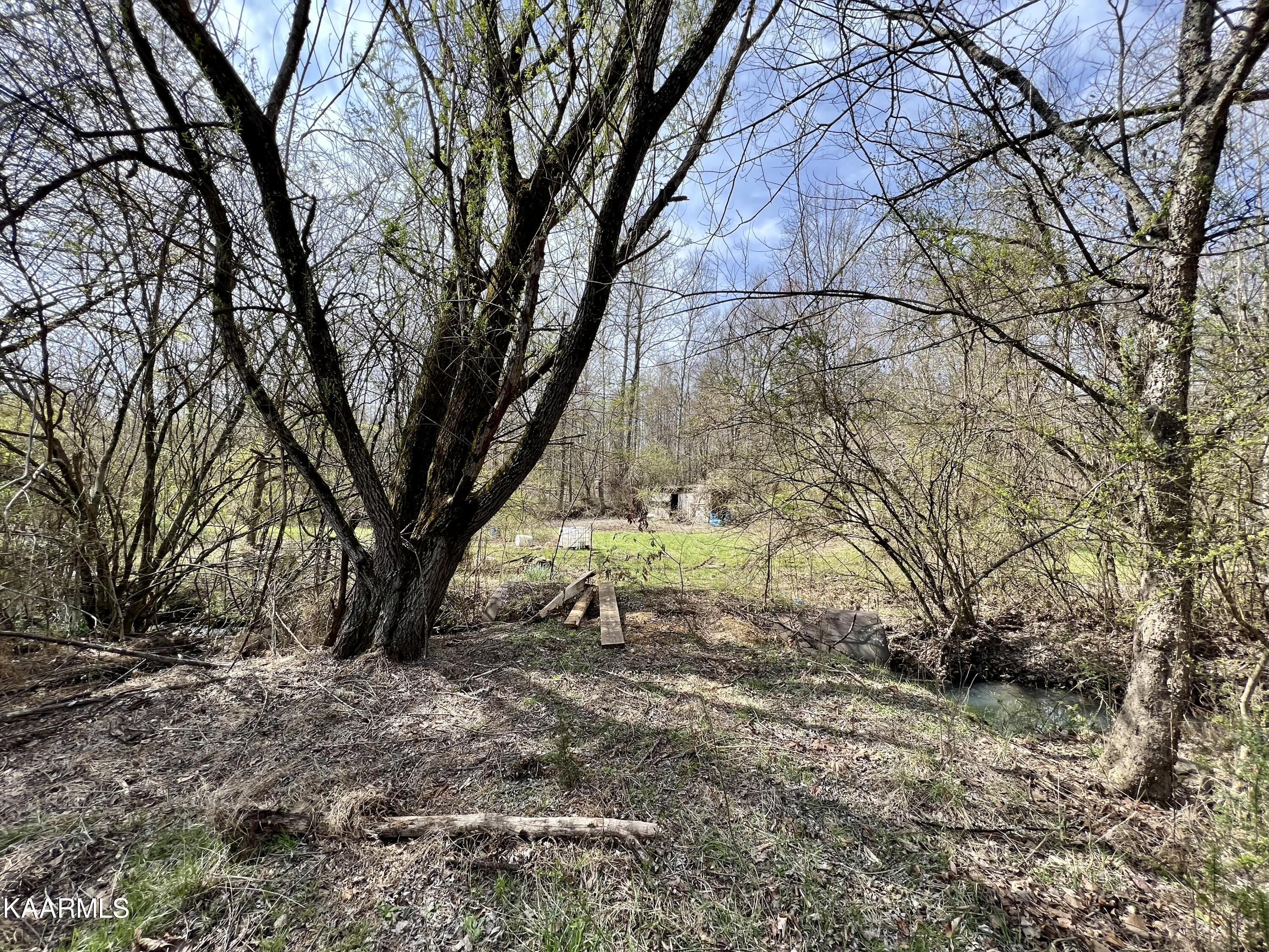 Ten Dry Fork Valley Road Philadelphia, TN 37846 - Photo 48 of 56 IMG_5527