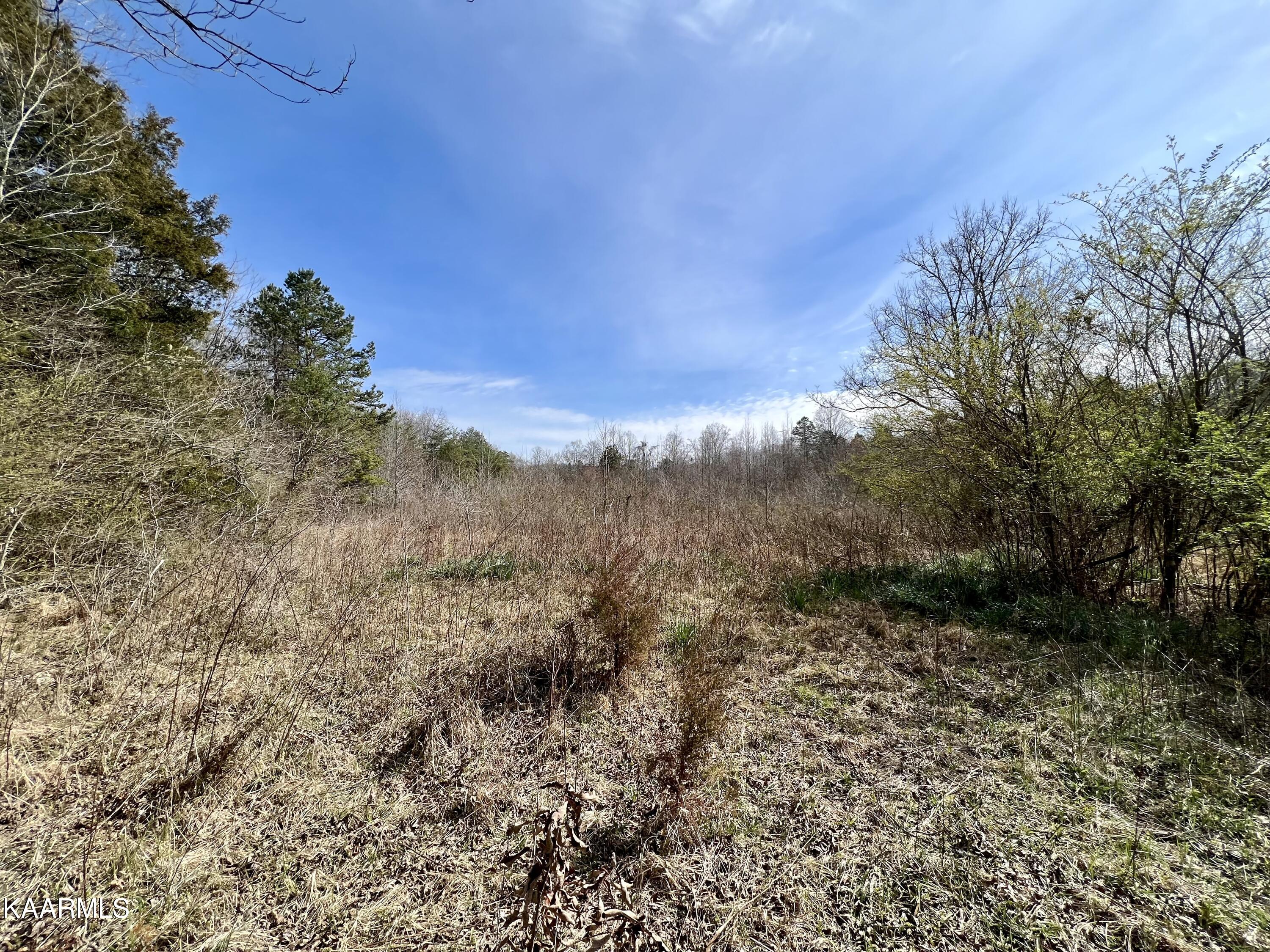 Ten Dry Fork Valley Road Philadelphia, TN 37846 - Photo 50 of 56 IMG_5529