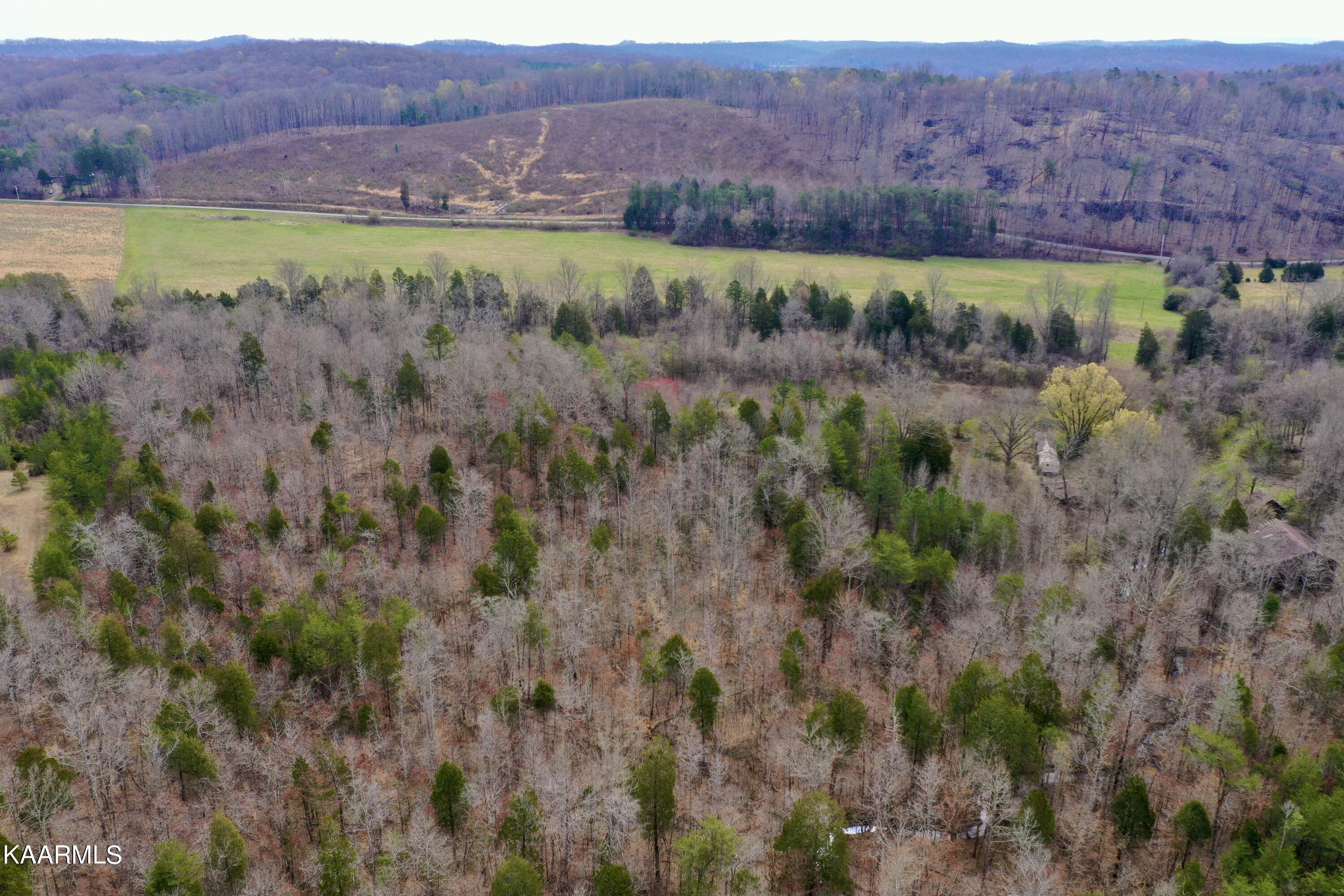 Ten Dry Fork Valley Road Philadelphia, TN 37846 - Photo 5 of 56 5
