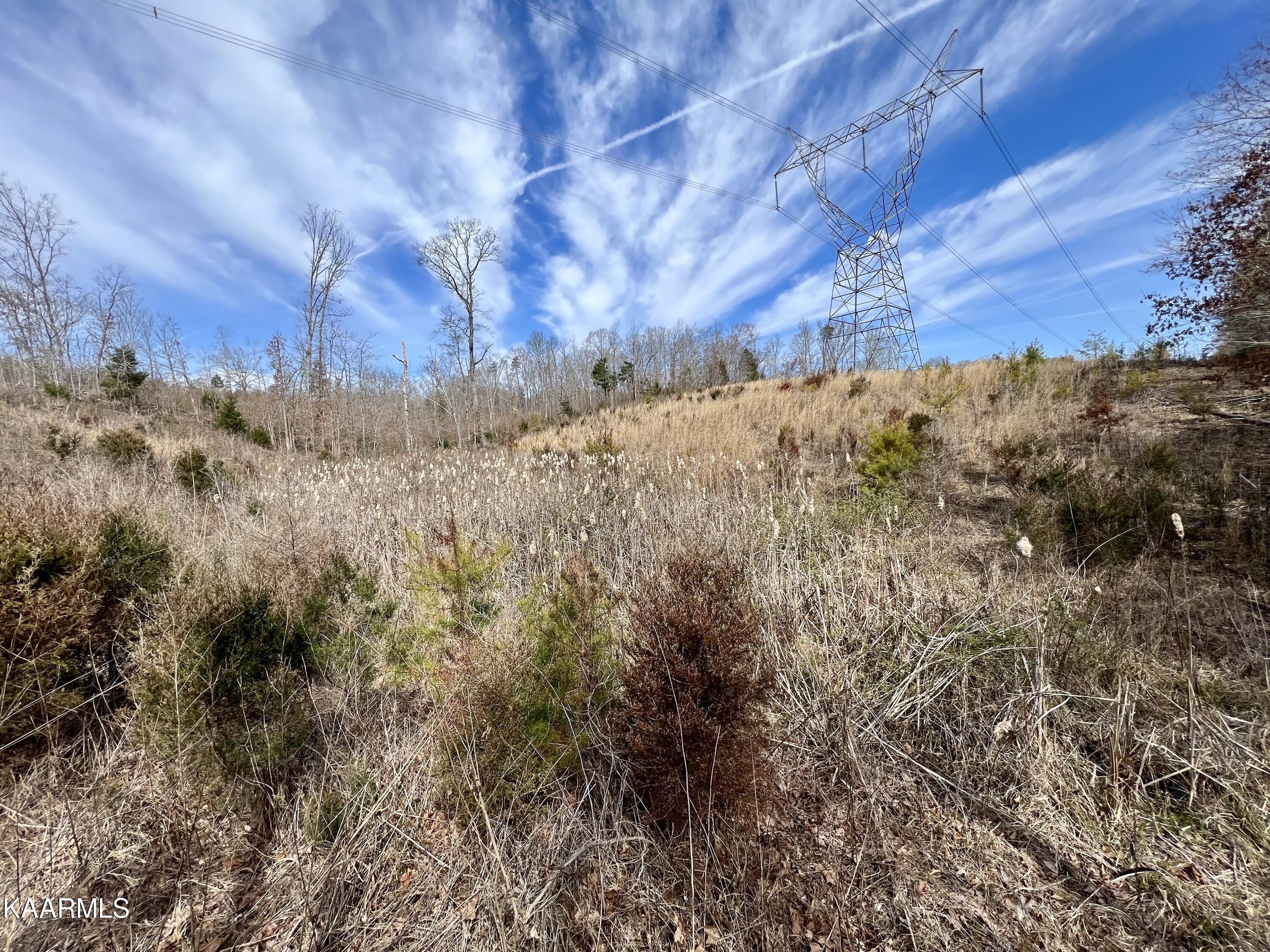 Ten Dry Fork Valley Road Philadelphia, TN 37846 - Photo 52 of 56 IMG_5540