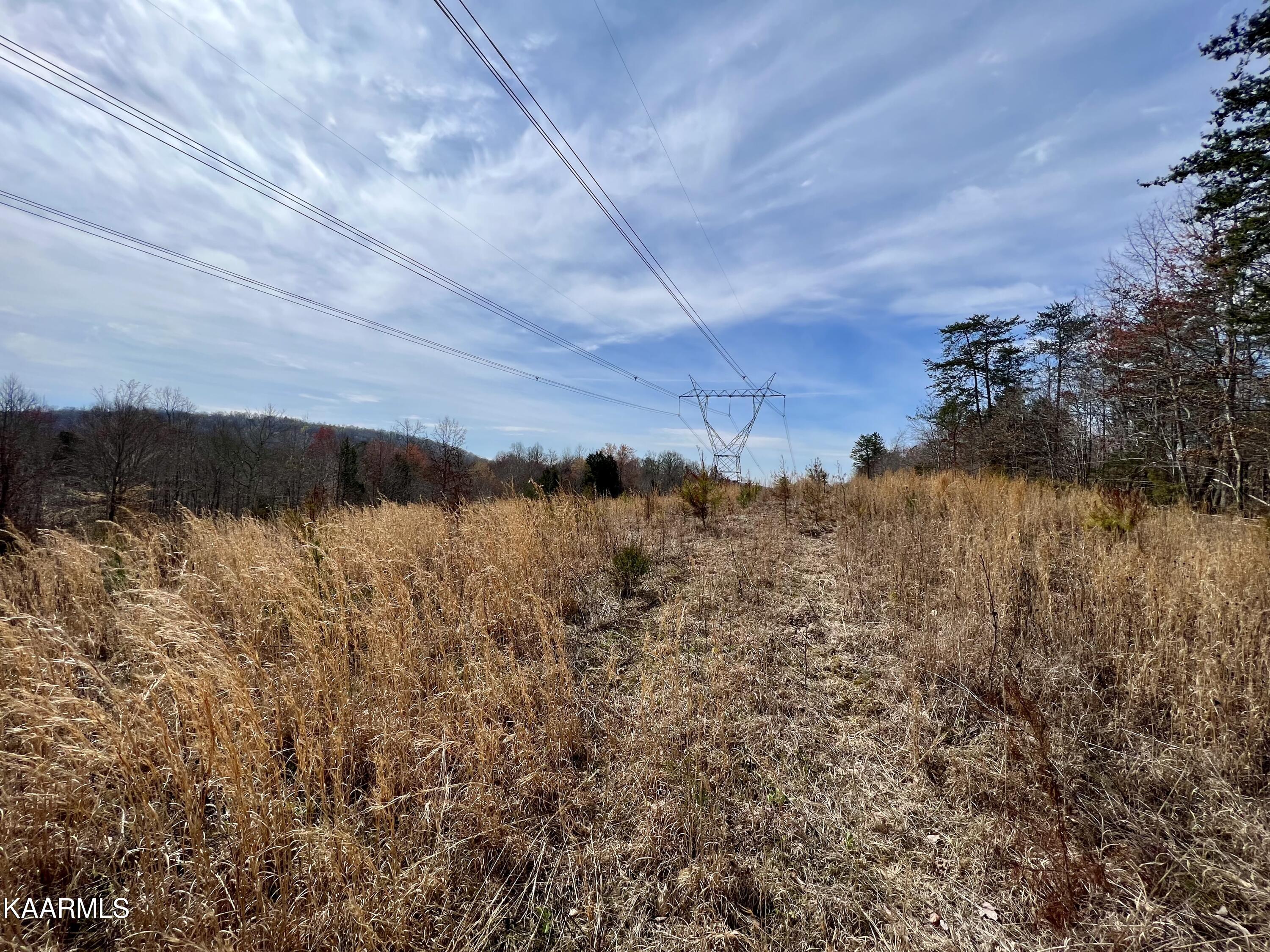Ten Dry Fork Valley Road Philadelphia, TN 37846 - Photo 53 of 56 IMG_5542