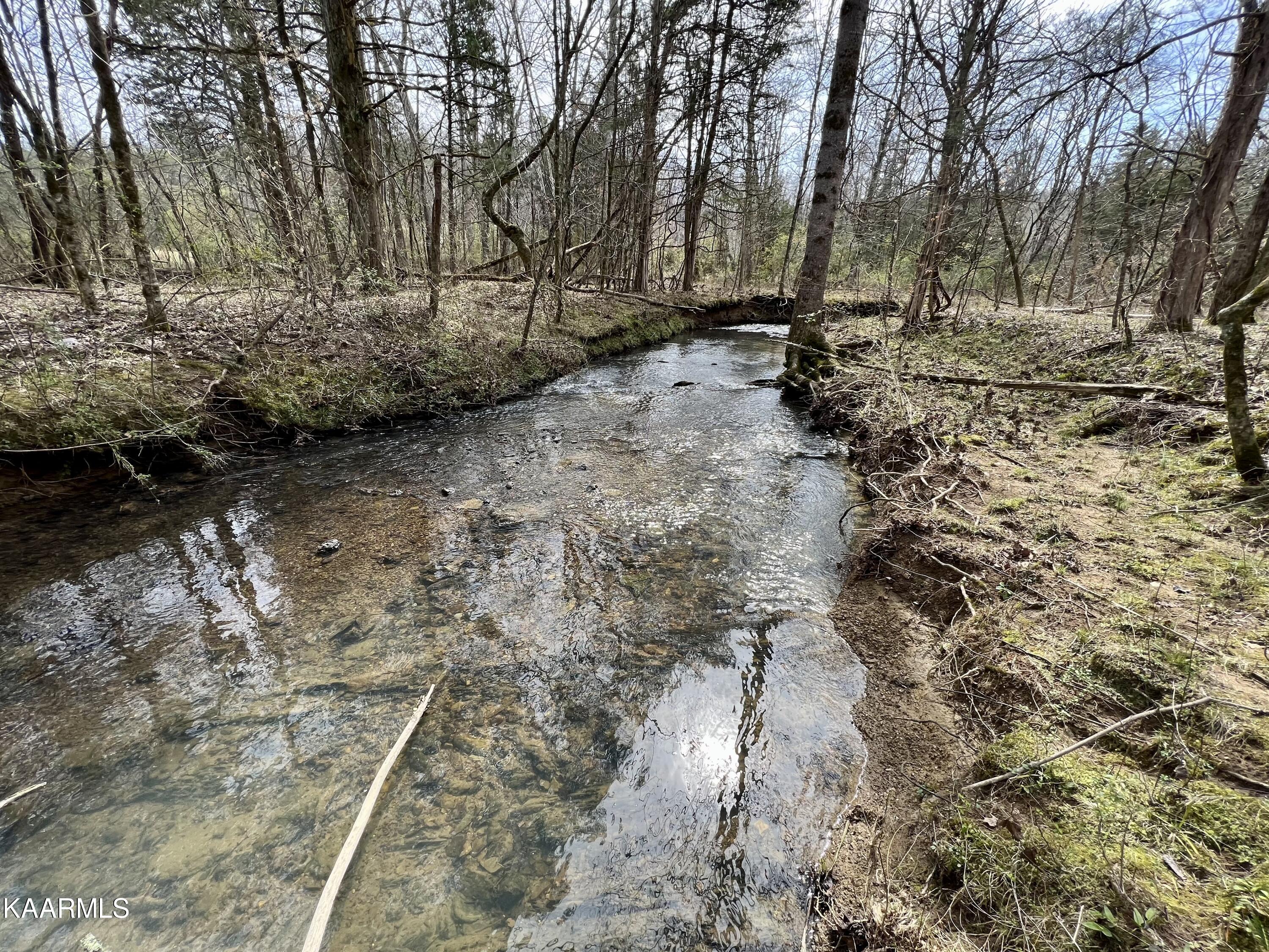 Ten Dry Fork Valley Road Philadelphia, TN 37846 - Photo 8 of 56 8