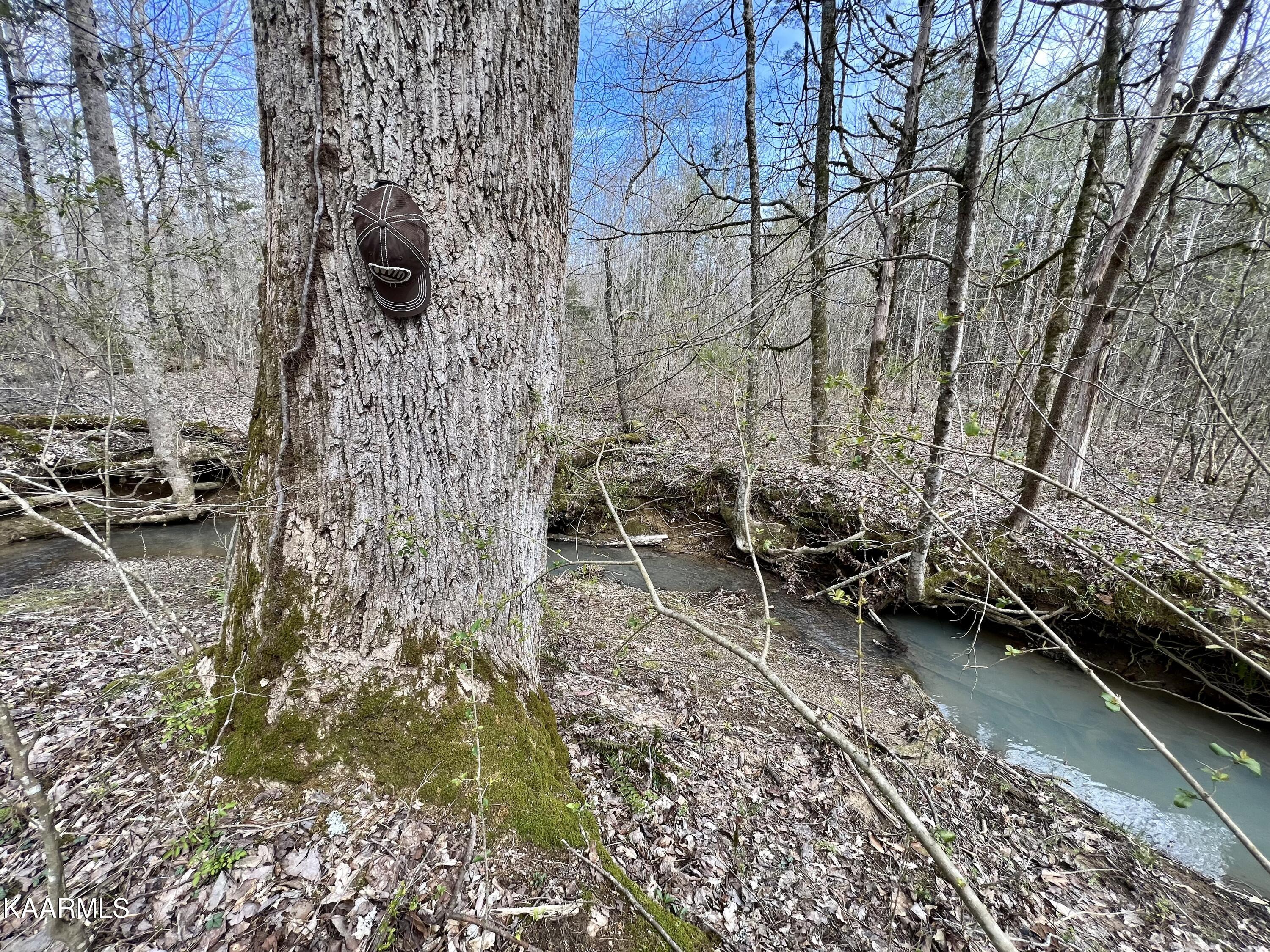 Ten Dry Fork Valley Road Philadelphia, TN 37846 - Photo 10 of 56 10