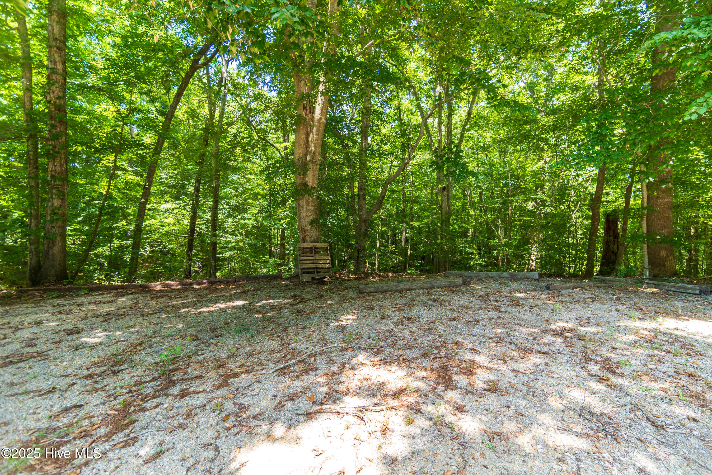 3173 Bakers School Road Scotland Neck, NC 27874 - Photo 43 of 55 SN-3