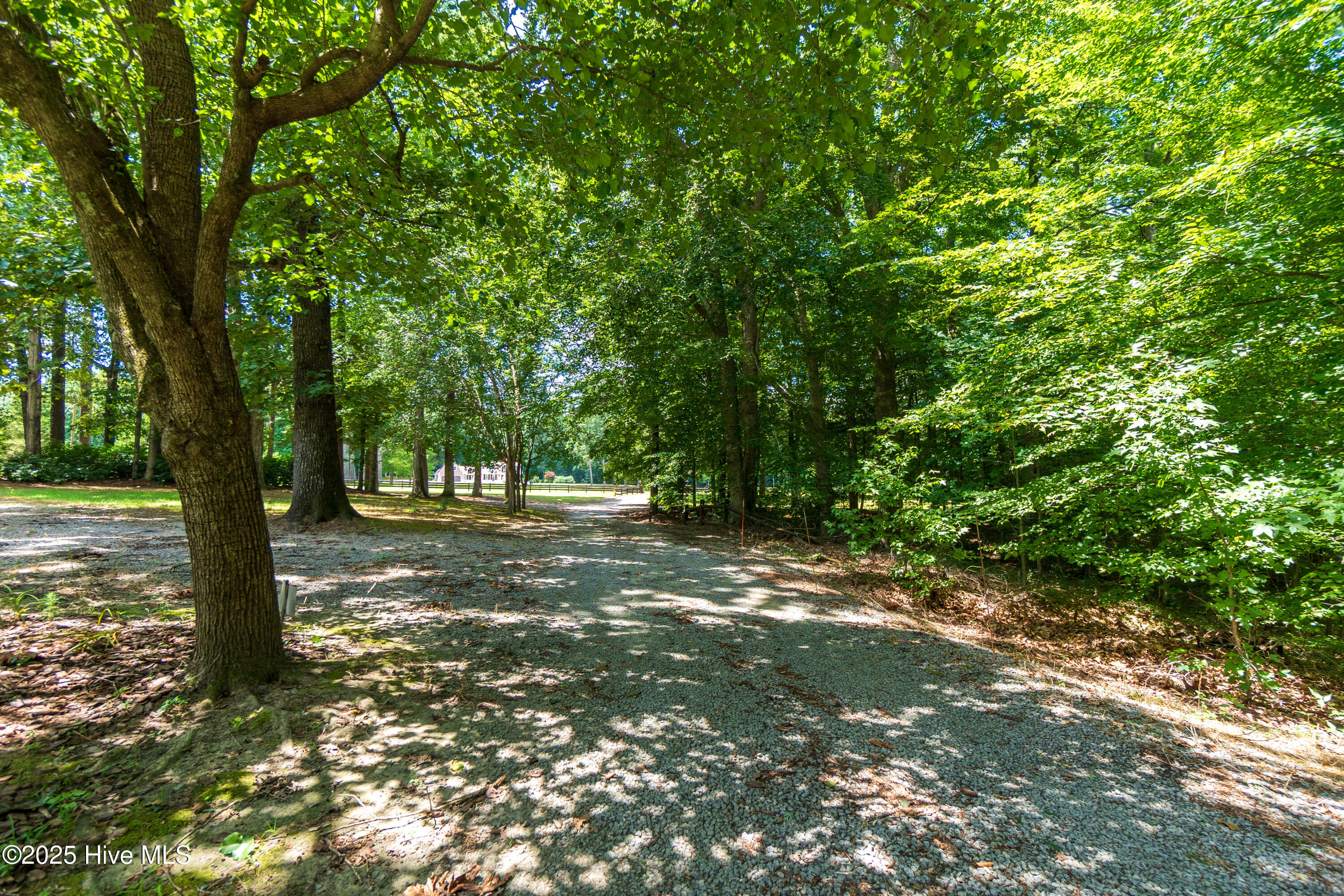 3173 Bakers School Road Scotland Neck, NC 27874 - Photo 45 of 55 SN-6