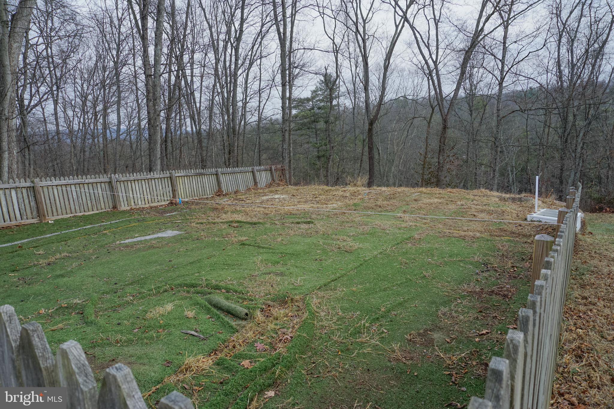 2003 Peach Ridge Road Elliottsburg, PA 17024 - Photo 12 of 69