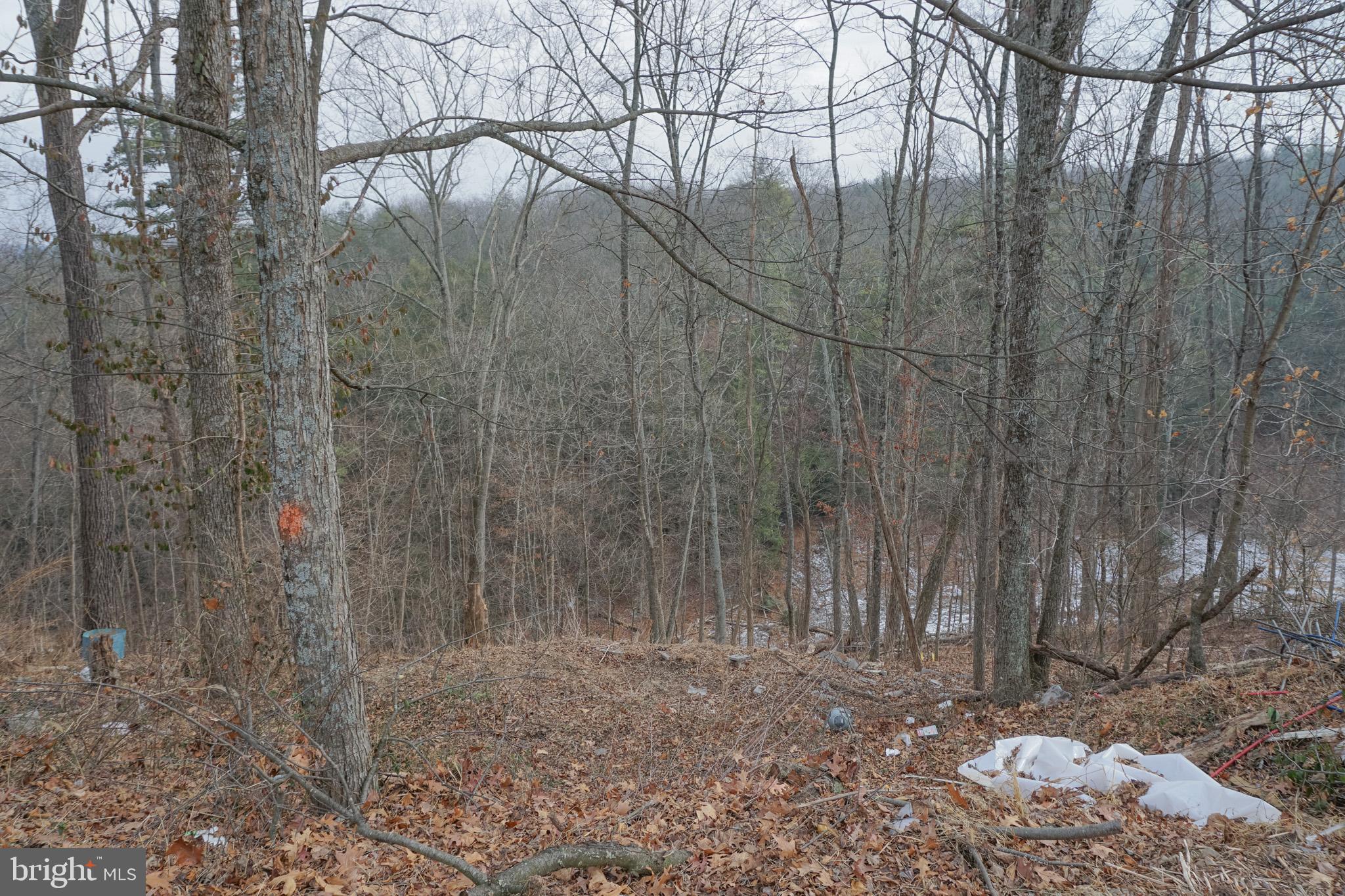 2003 Peach Ridge Road Elliottsburg, PA 17024 - Photo 65 of 69