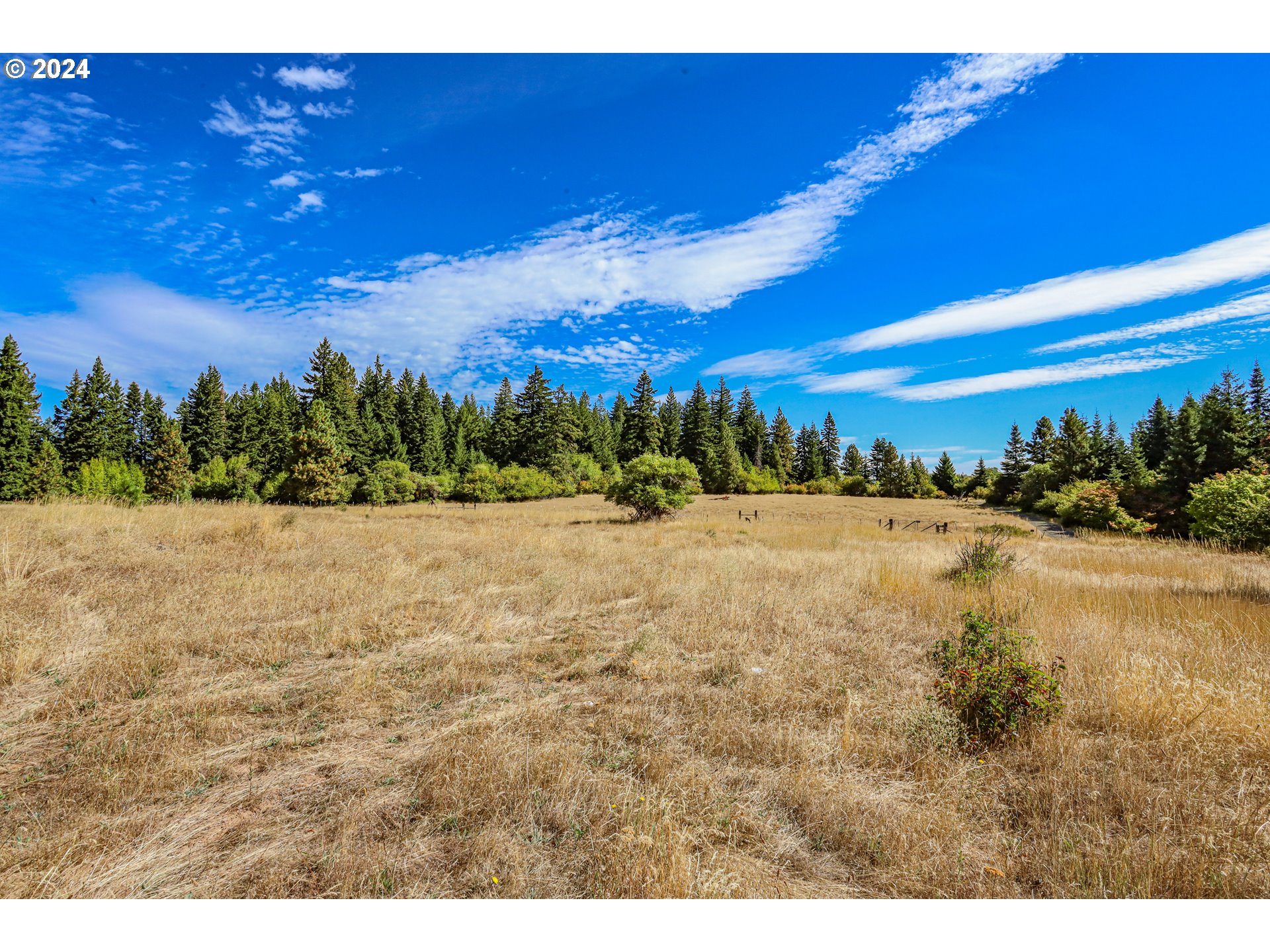 1240 Canyon Road Appleton, WA 98602 - Photo 21 of 39 Pasture