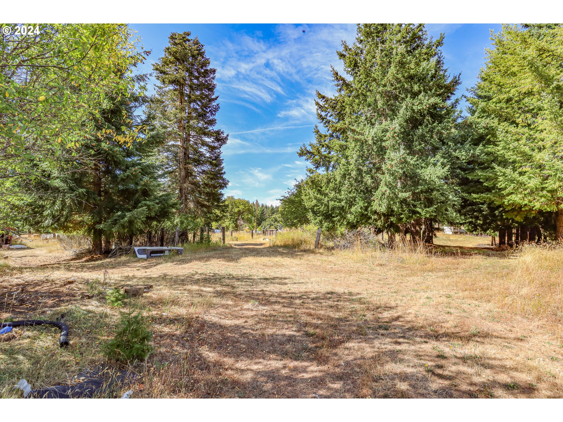 1240 Canyon Road Appleton, WA 98602 - Photo 22 of 39 Pasture