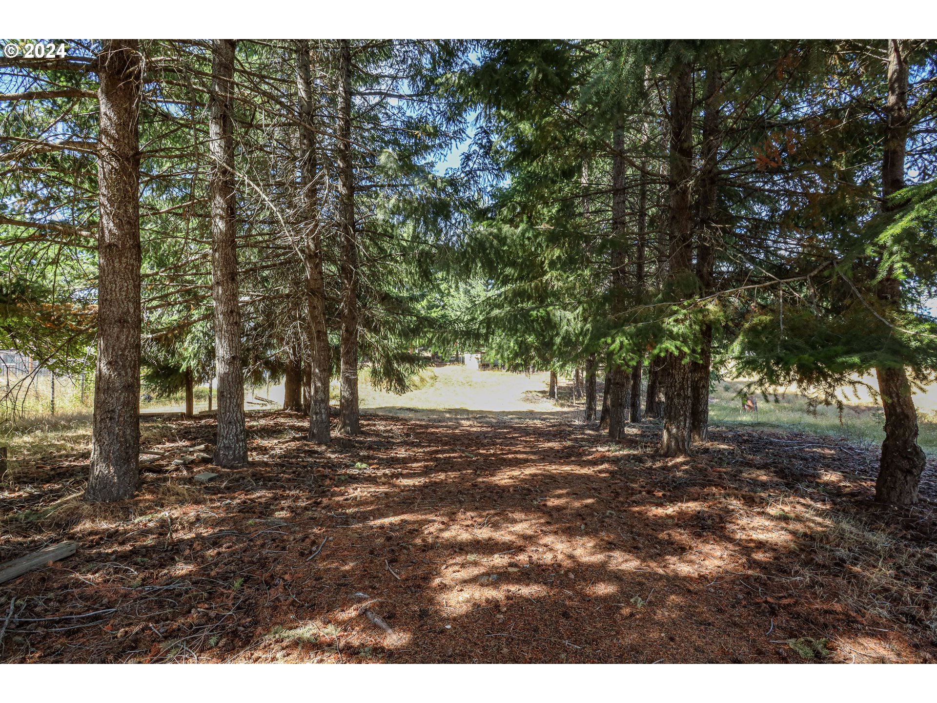 1240 Canyon Road Appleton, WA 98602 - Photo 23 of 39 Pasture