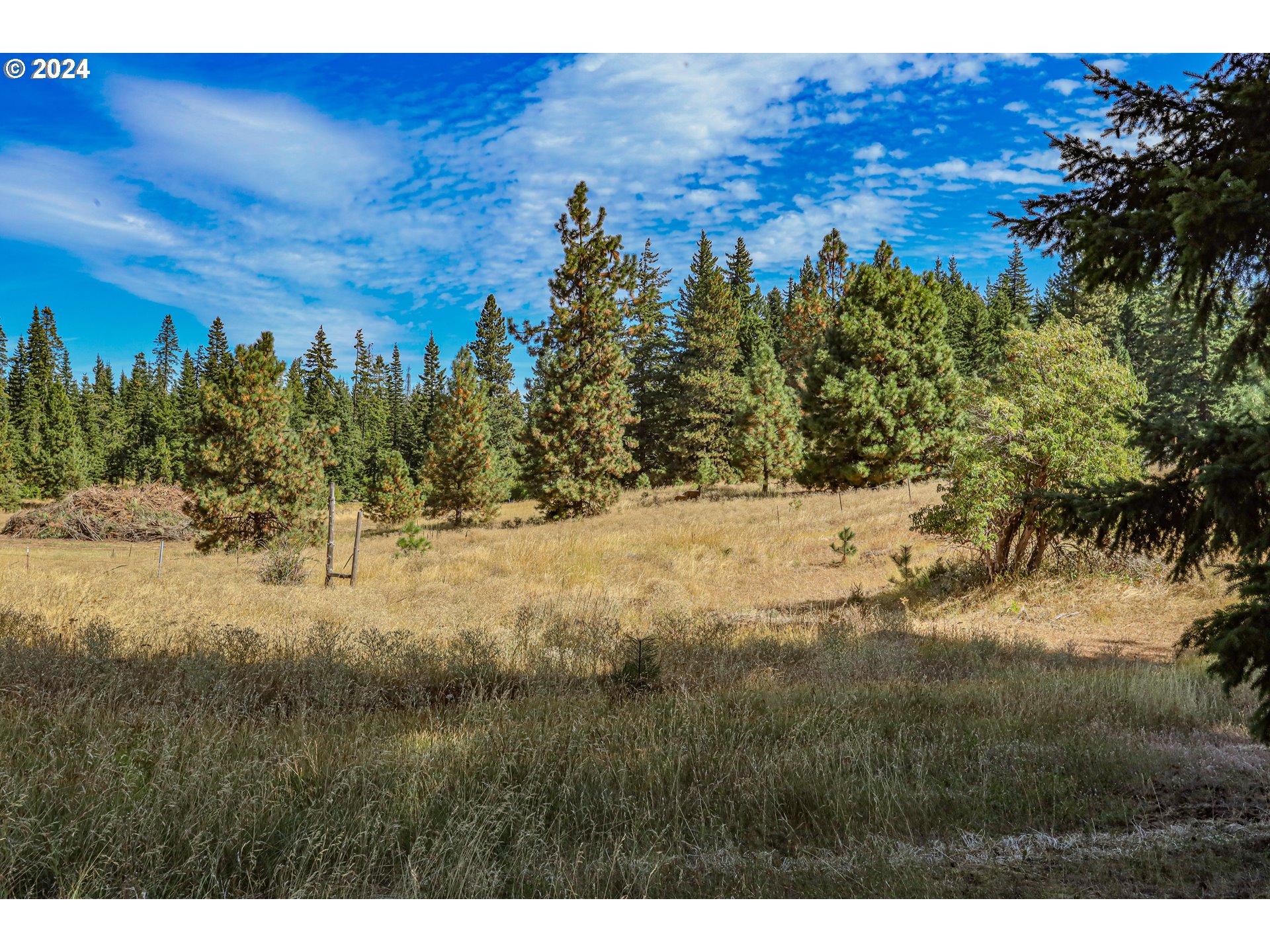1240 Canyon Road Appleton, WA 98602 - Photo 24 of 39 Pasture