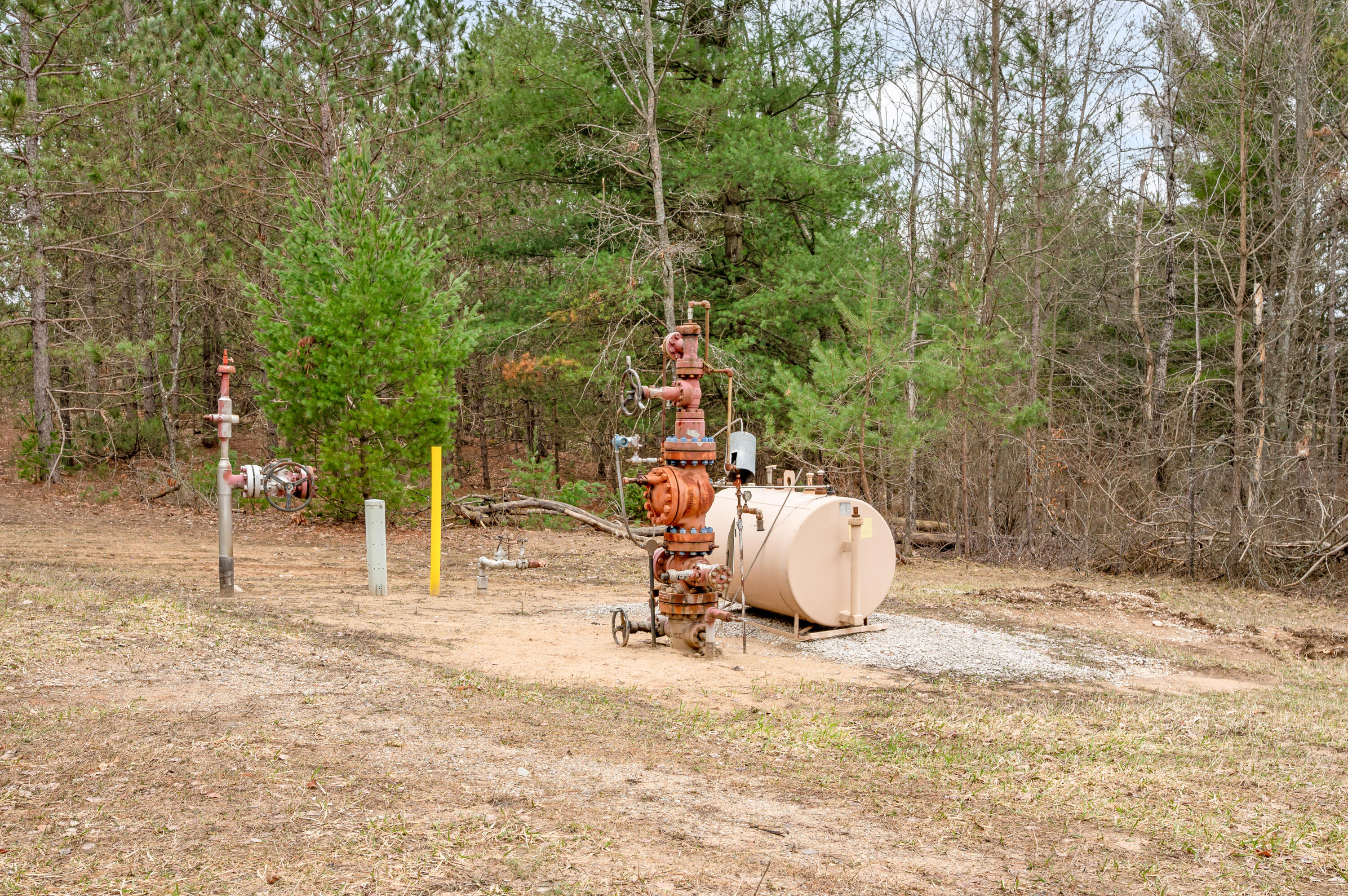 6700 South 230th Avenue Reed City, MI 49677 - Photo 37 of 74 6700-230thAve-RC-37