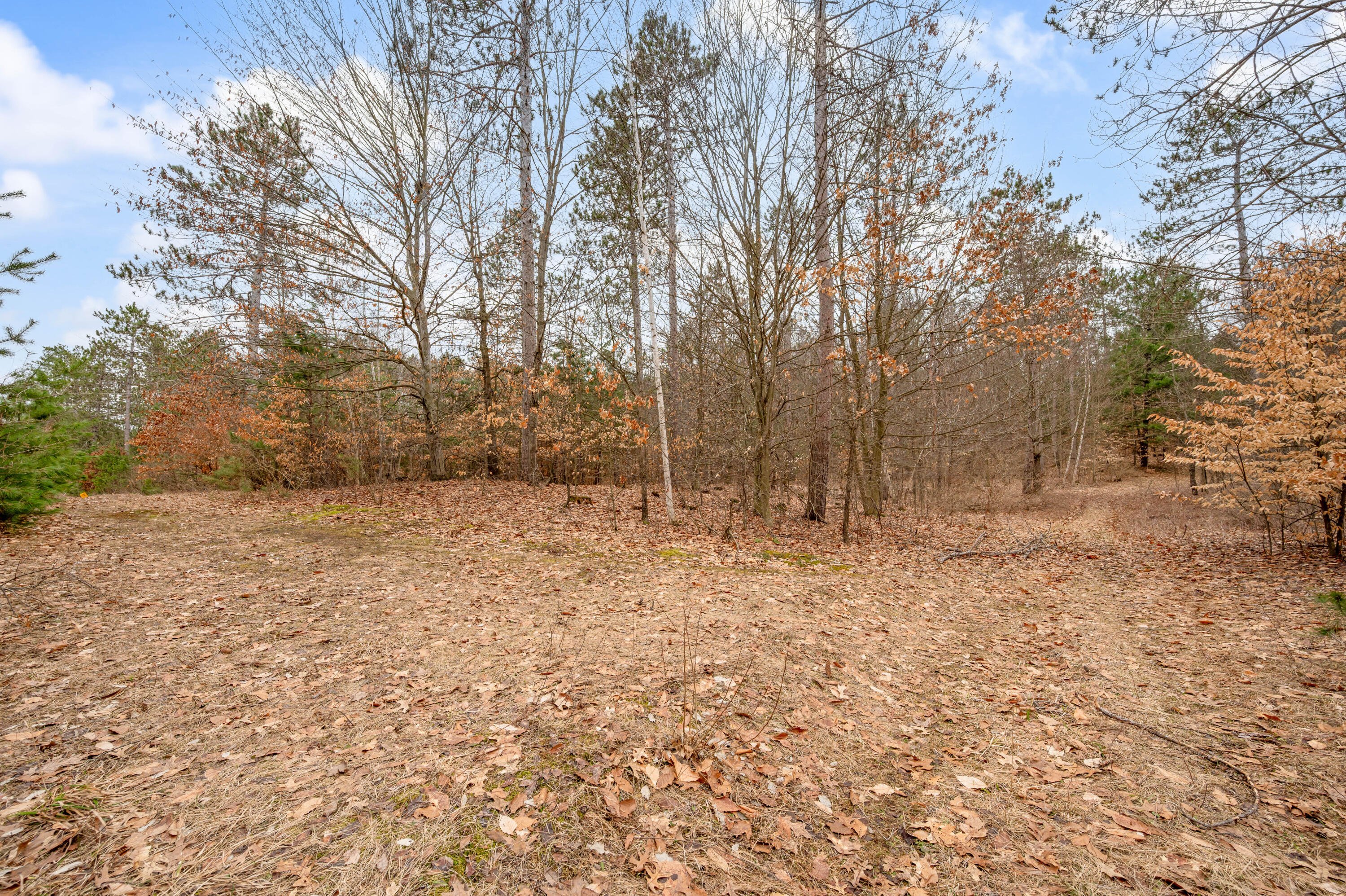 6700 South 230th Avenue Reed City, MI 49677 - Photo 40 of 74 6700-230thAve-RC-39