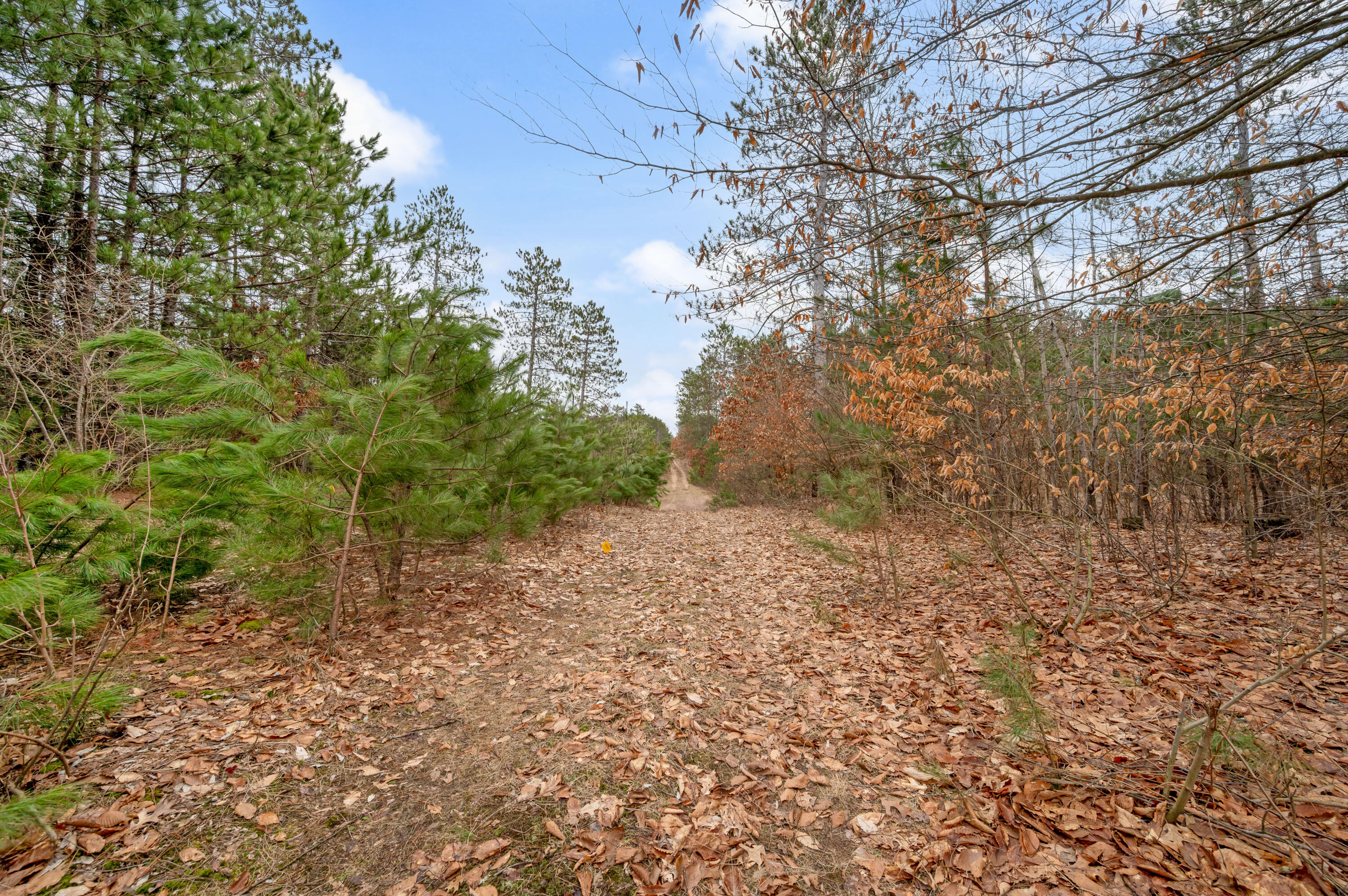 6700 South 230th Avenue Reed City, MI 49677 - Photo 41 of 74 6700-230thAve-RC-40