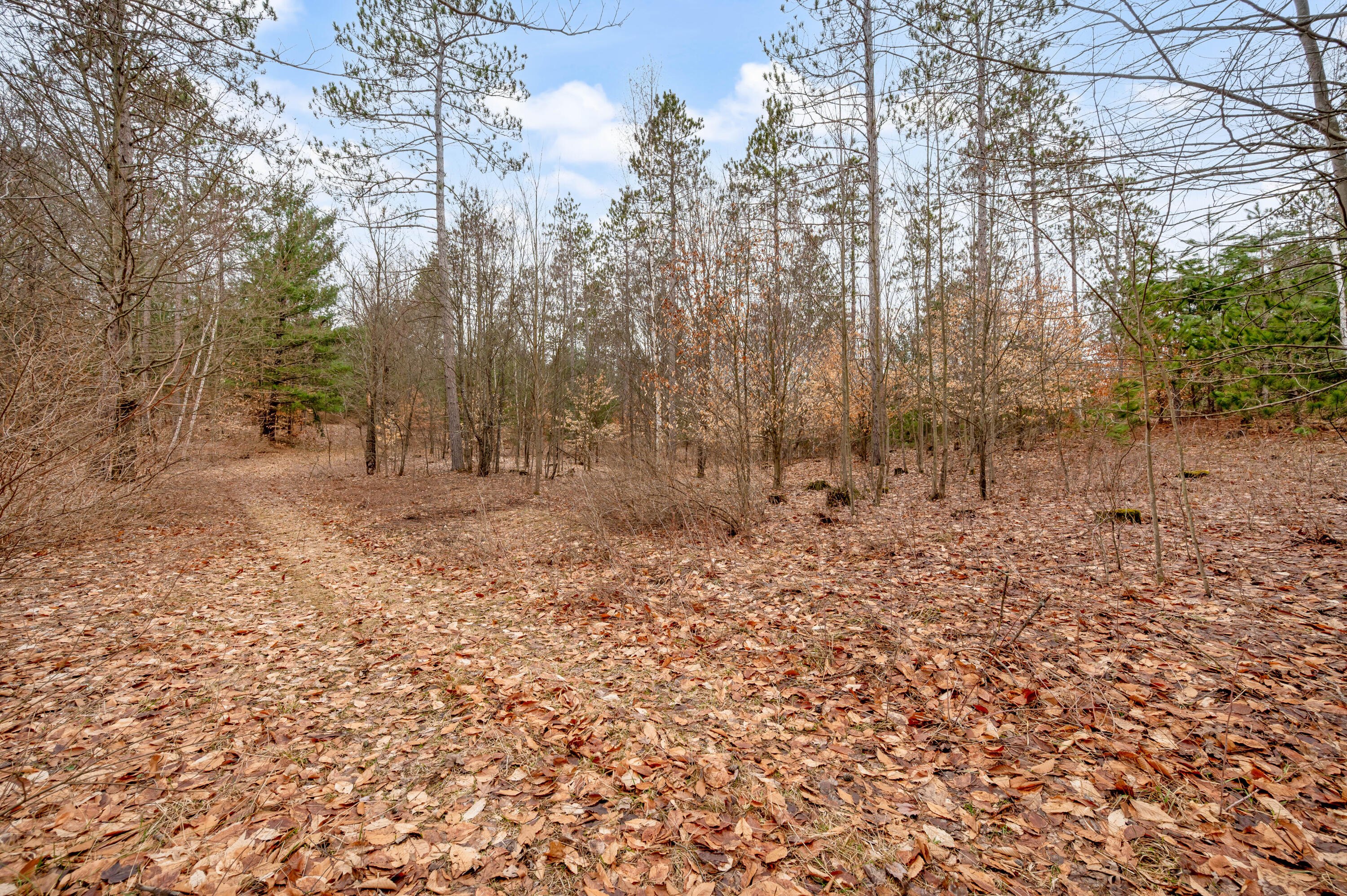 6700 South 230th Avenue Reed City, MI 49677 - Photo 42 of 74 6700-230thAve-RC-41