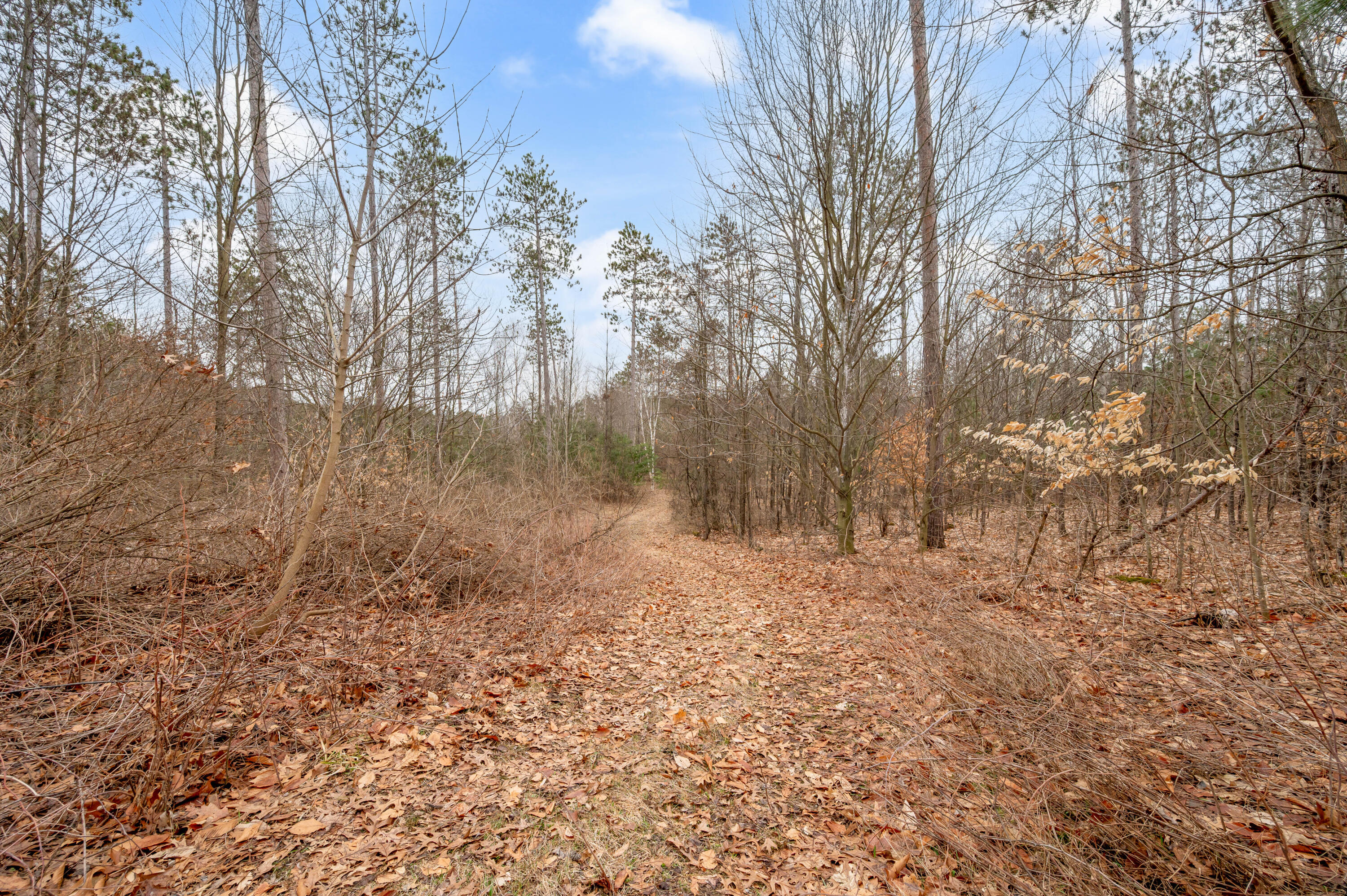 6700 South 230th Avenue Reed City, MI 49677 - Photo 43 of 74 6700-230thAve-RC-42