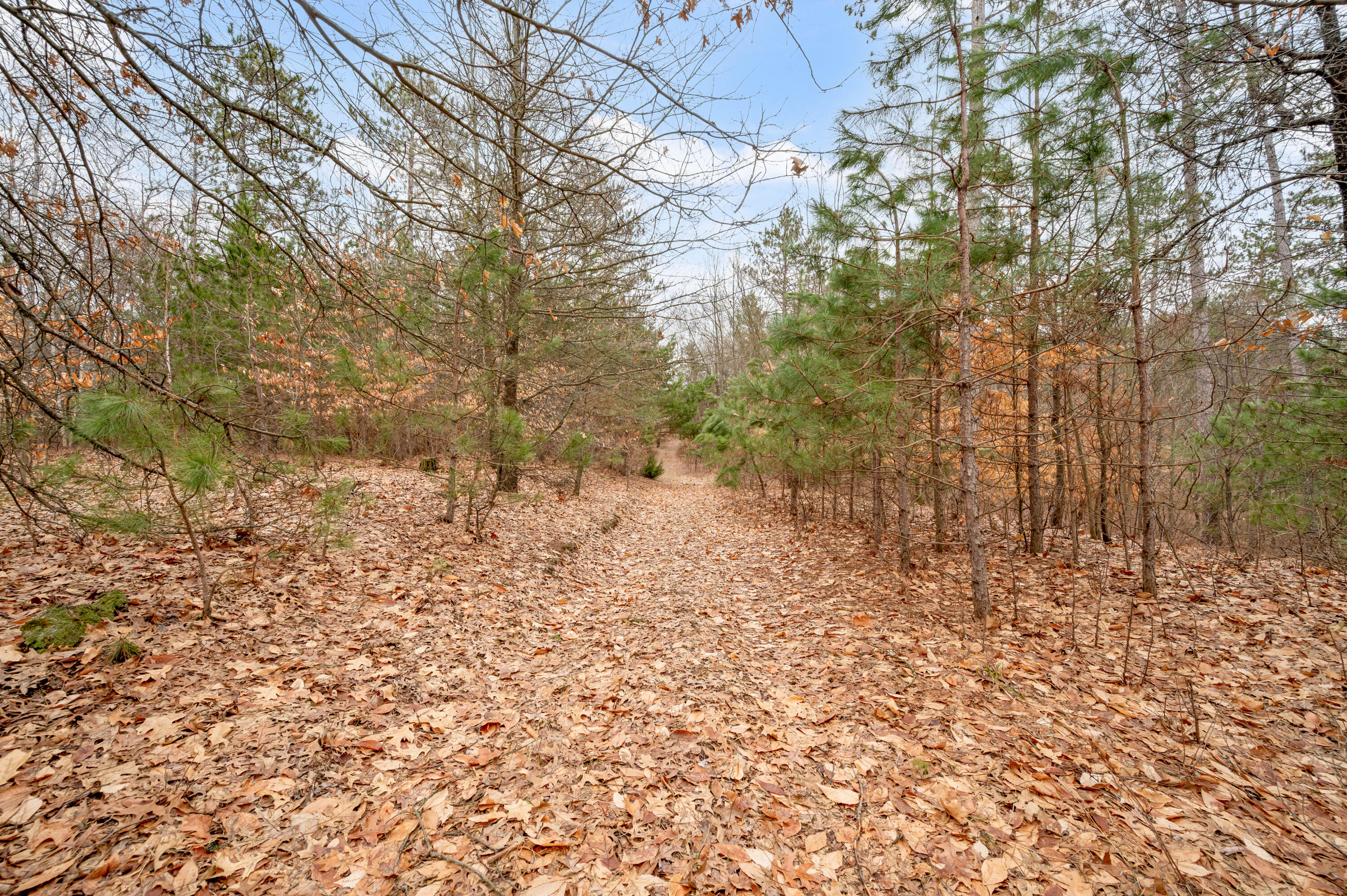 6700 South 230th Avenue Reed City, MI 49677 - Photo 44 of 74 6700-230thAve-RC-43