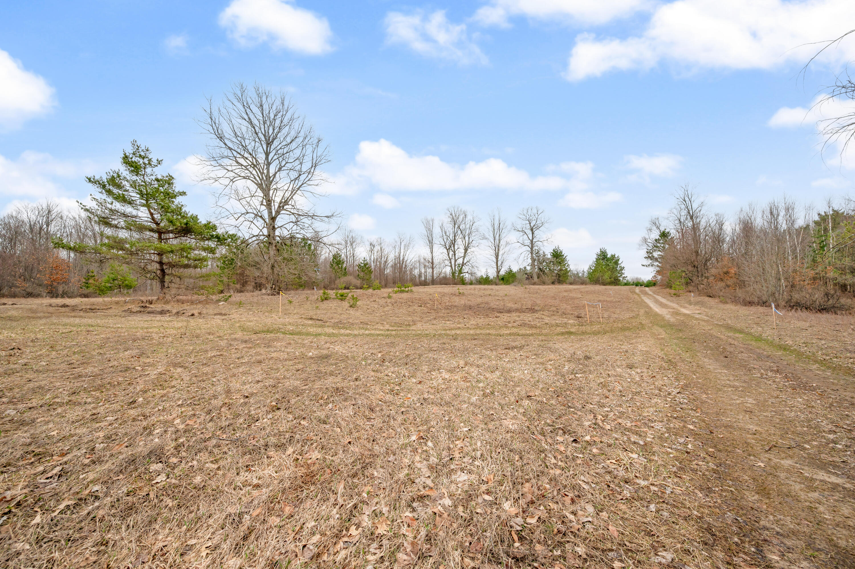 6700 South 230th Avenue Reed City, MI 49677 - Photo 46 of 74 6700-230thAve-RC-45