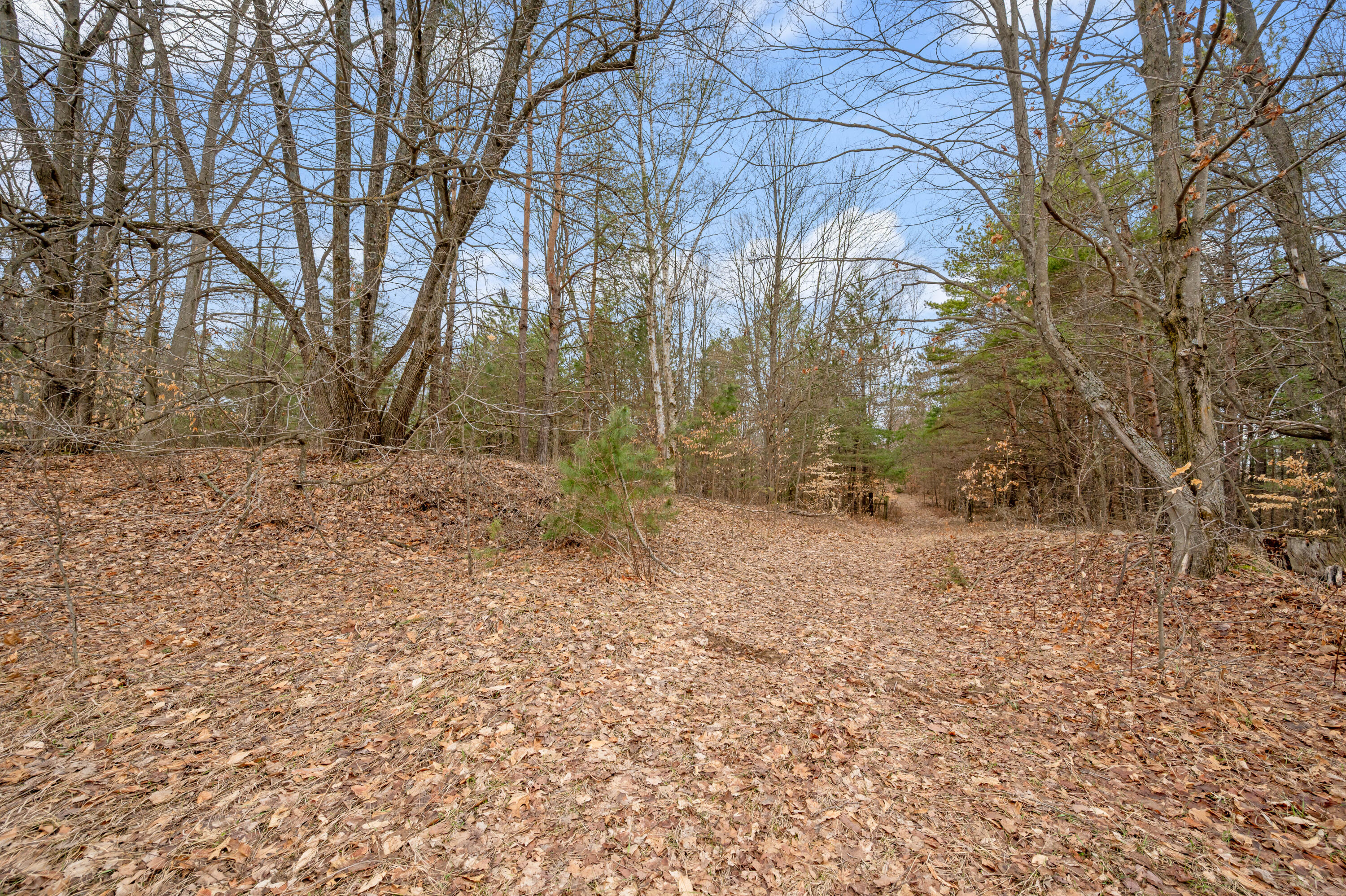 6700 South 230th Avenue Reed City, MI 49677 - Photo 47 of 74 6700-230thAve-RC-46