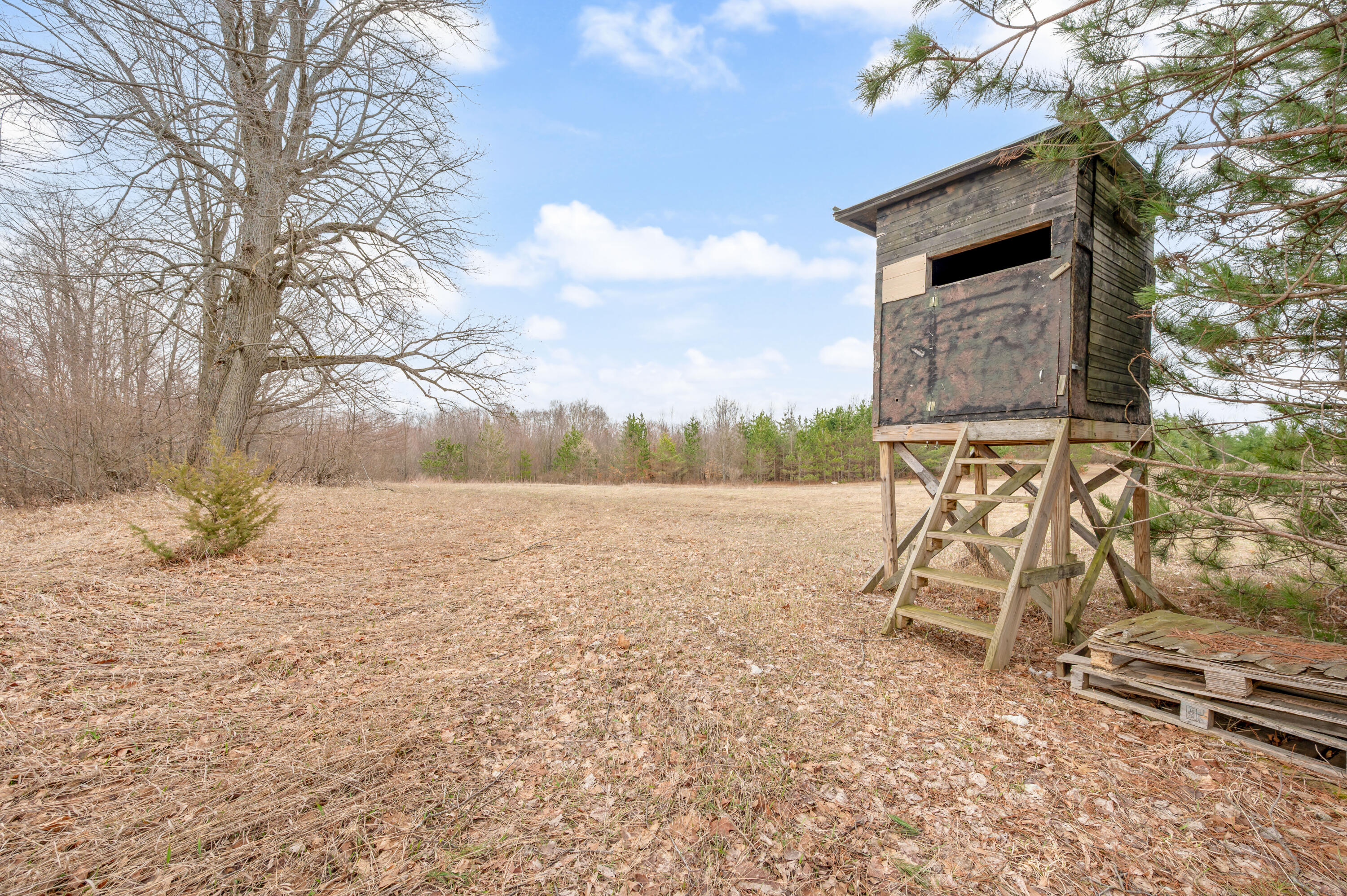 6700 South 230th Avenue Reed City, MI 49677 - Photo 48 of 74 6700-230thAve-RC-47