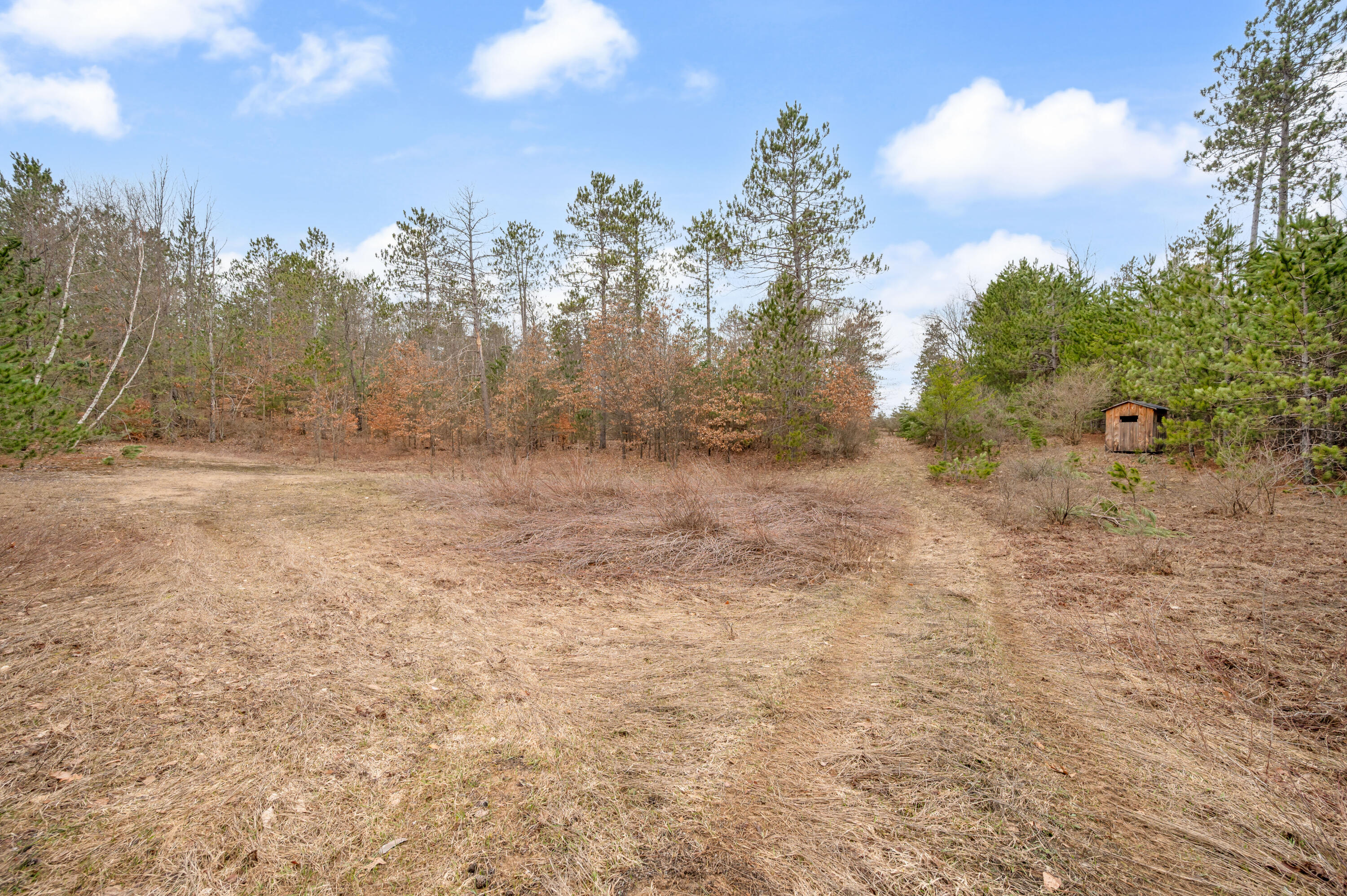 6700 South 230th Avenue Reed City, MI 49677 - Photo 50 of 74 6700-230thAve-RC-49