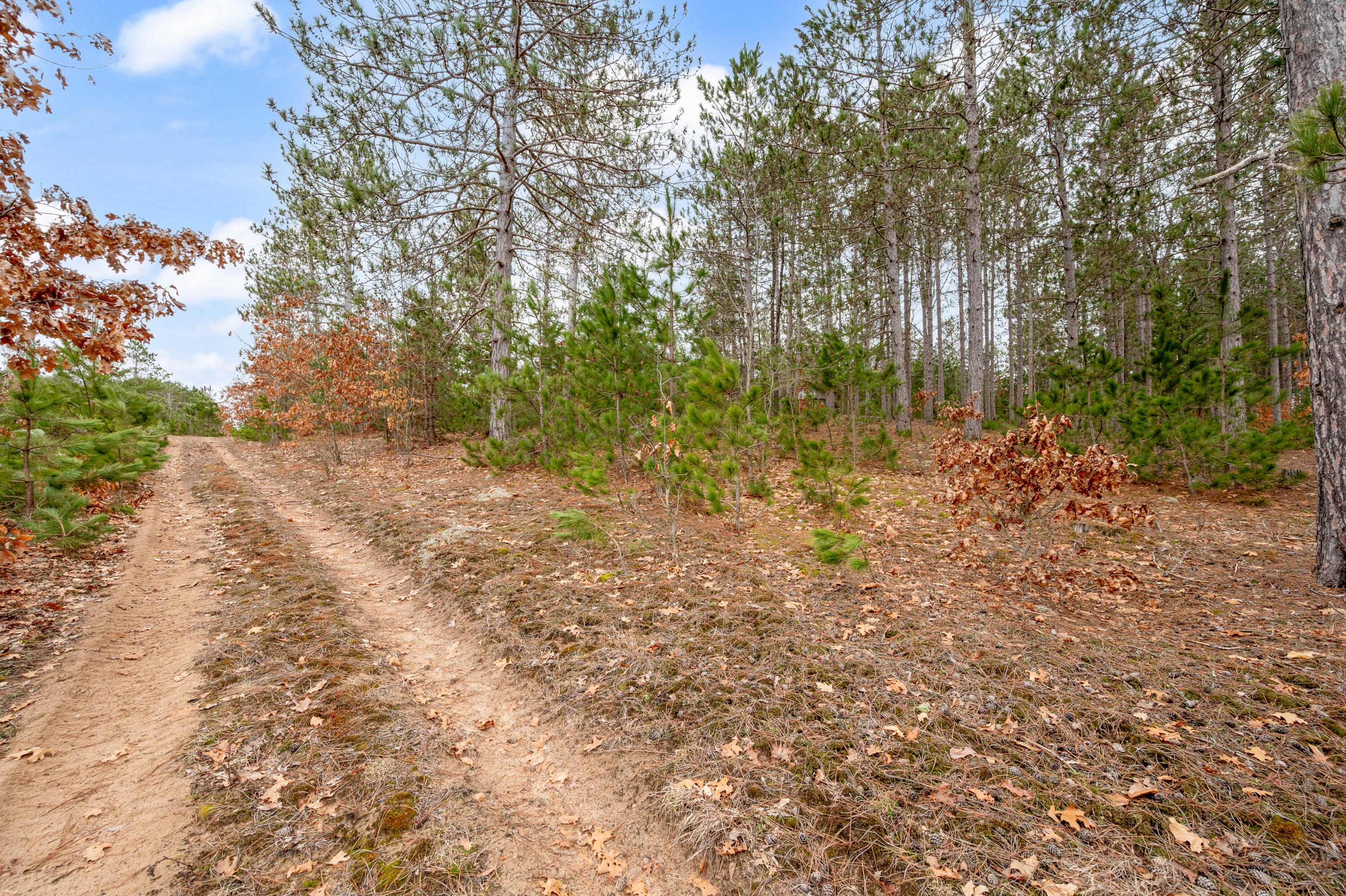 6700 South 230th Avenue Reed City, MI 49677 - Photo 51 of 74 6700-230thAve-RC-50