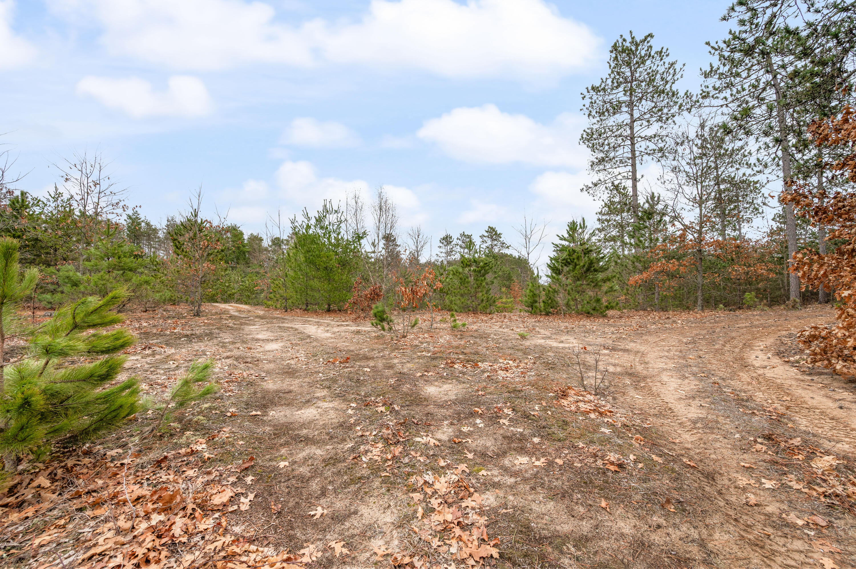 6700 South 230th Avenue Reed City, MI 49677 - Photo 52 of 74 6700-230thAve-RC-51