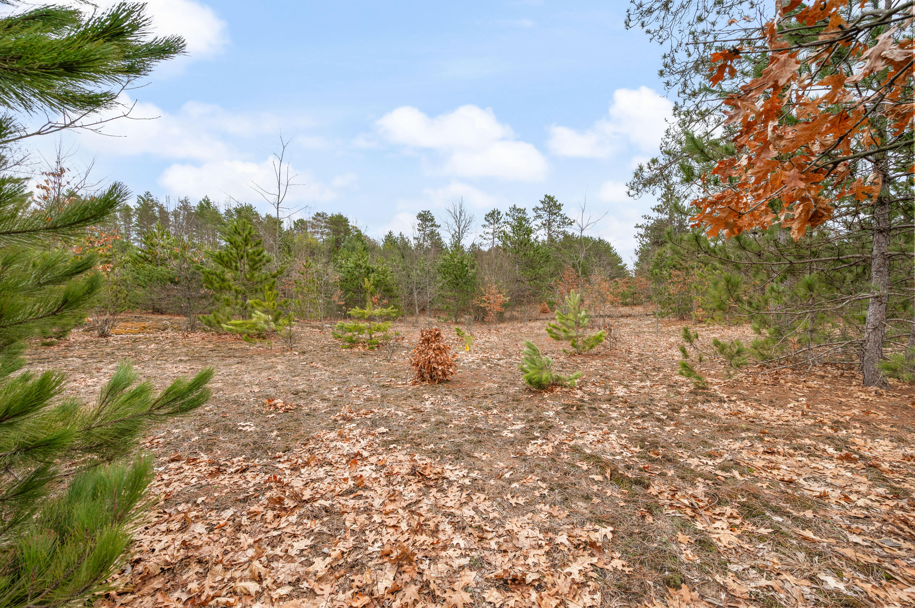 6700 South 230th Avenue Reed City, MI 49677 - Photo 53 of 74 6700-230thAve-RC-52