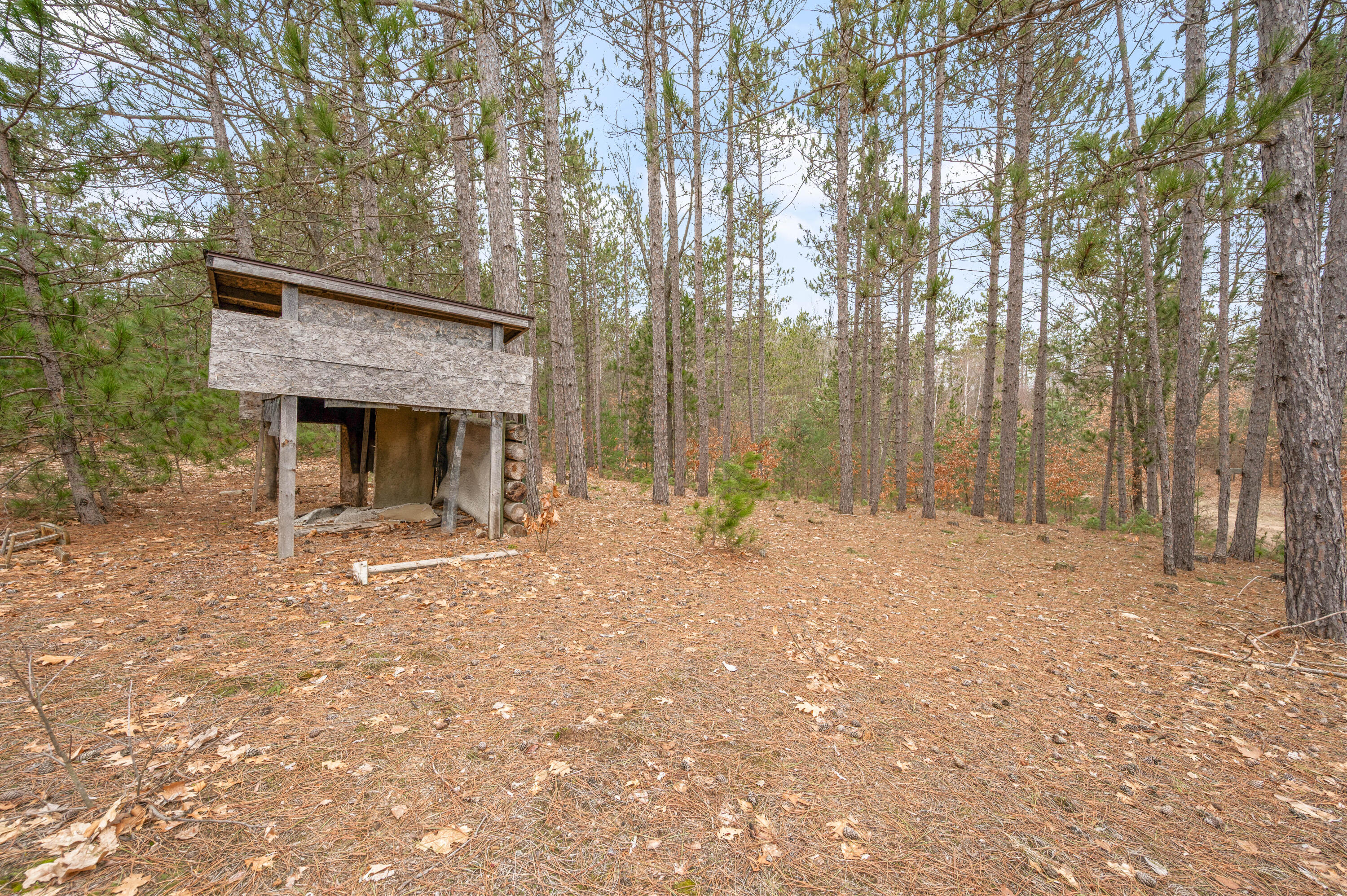 6700 South 230th Avenue Reed City, MI 49677 - Photo 54 of 74 6700-230thAve-RC-53