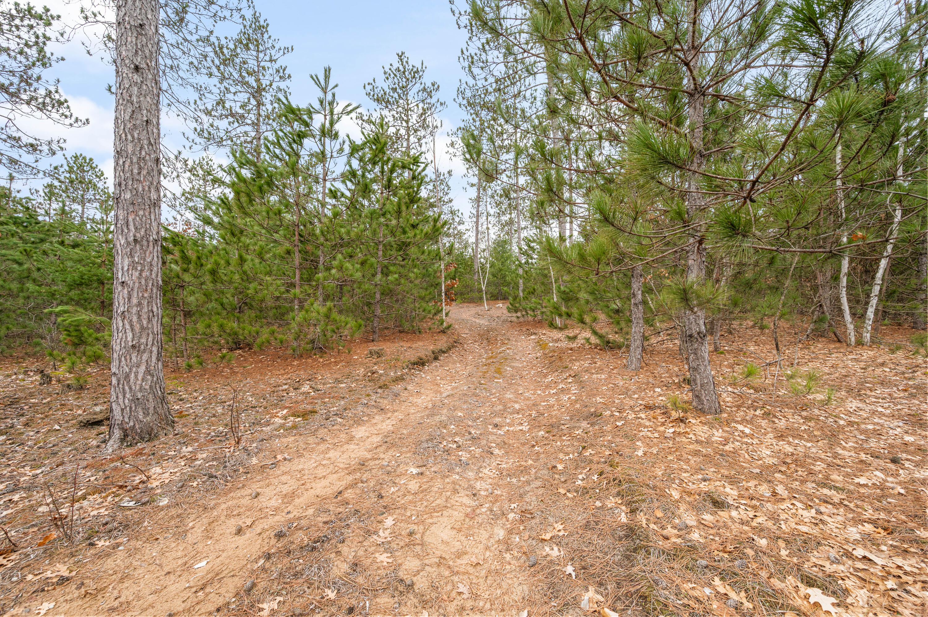 6700 South 230th Avenue Reed City, MI 49677 - Photo 55 of 74 6700-230thAve-RC-54